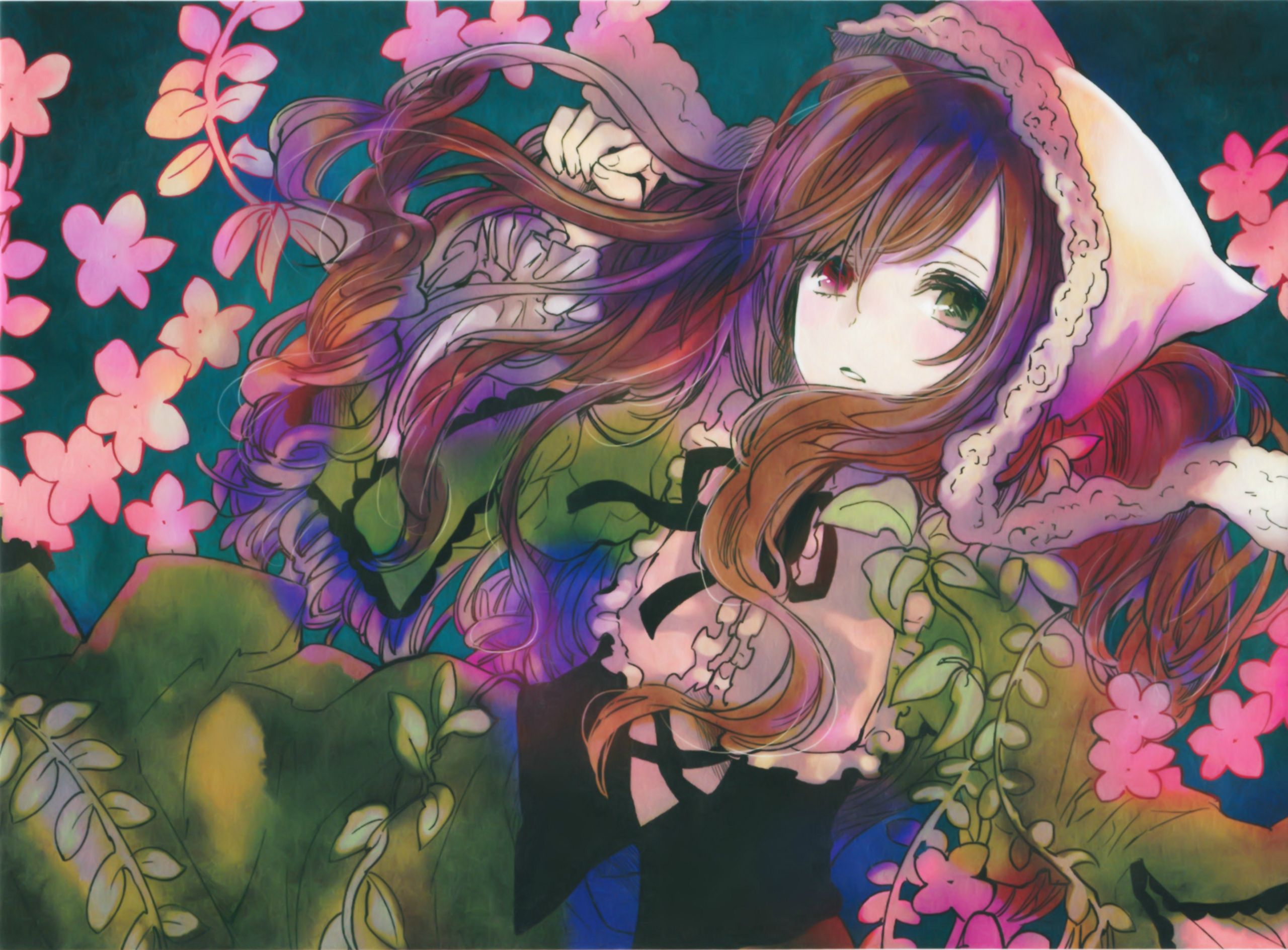 2560x1888 Wallpaper flowers, cap, rozen maiden, different eyes, suiseiseki for mobile and desktop, section прочее, resolution 2560x1888
