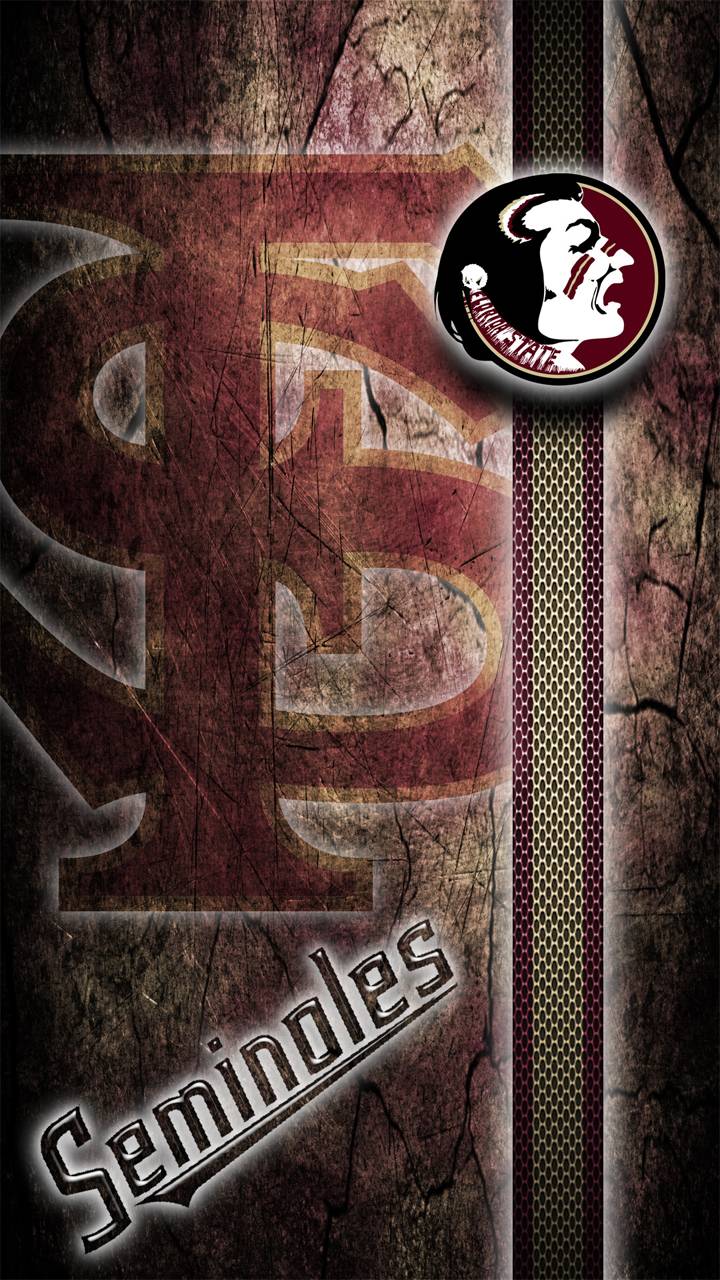720x1280 Florida State galaxy wallpaper