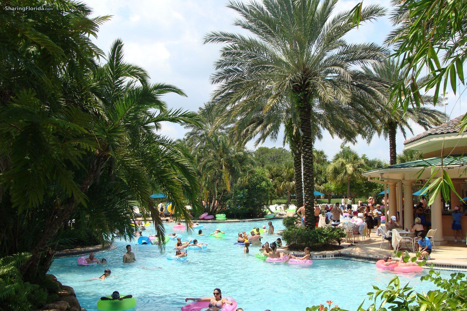 1620x1080 Free download Florida Swimming Pool Wallpaper Lazy River Wallpaper from Orlando [1620x1080] for your Desktop, Mobile & Tablet. Explore Wallpaper Orlando Florida. Wallpaper Outlet Orlando, Orlando City Wallpaper, Wallpaper