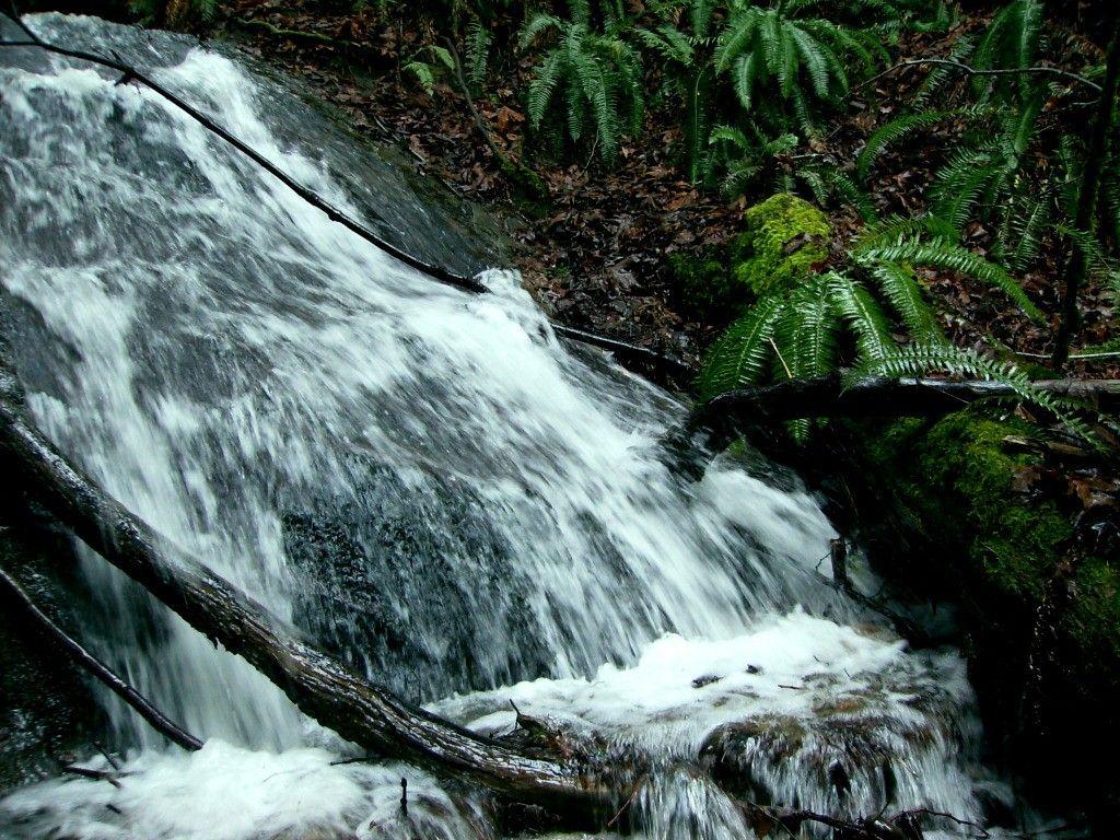 1024x768 Waterfall: Chuckanut Pacific Northwest Stream Flowing Waterfall Live