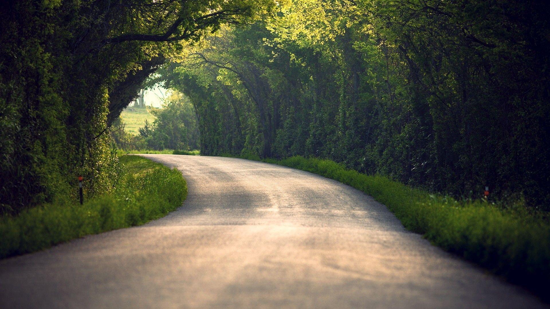 1920x1080 Download wallpaper 1920x1080 summer, nature, road, leaves, trees HD