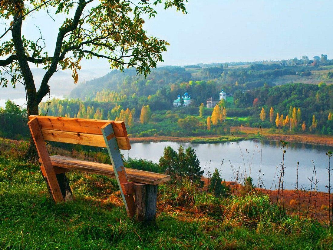 1100x825 Other: Peaceful Large Lake Bench Water Summer Nature View Fullscreen