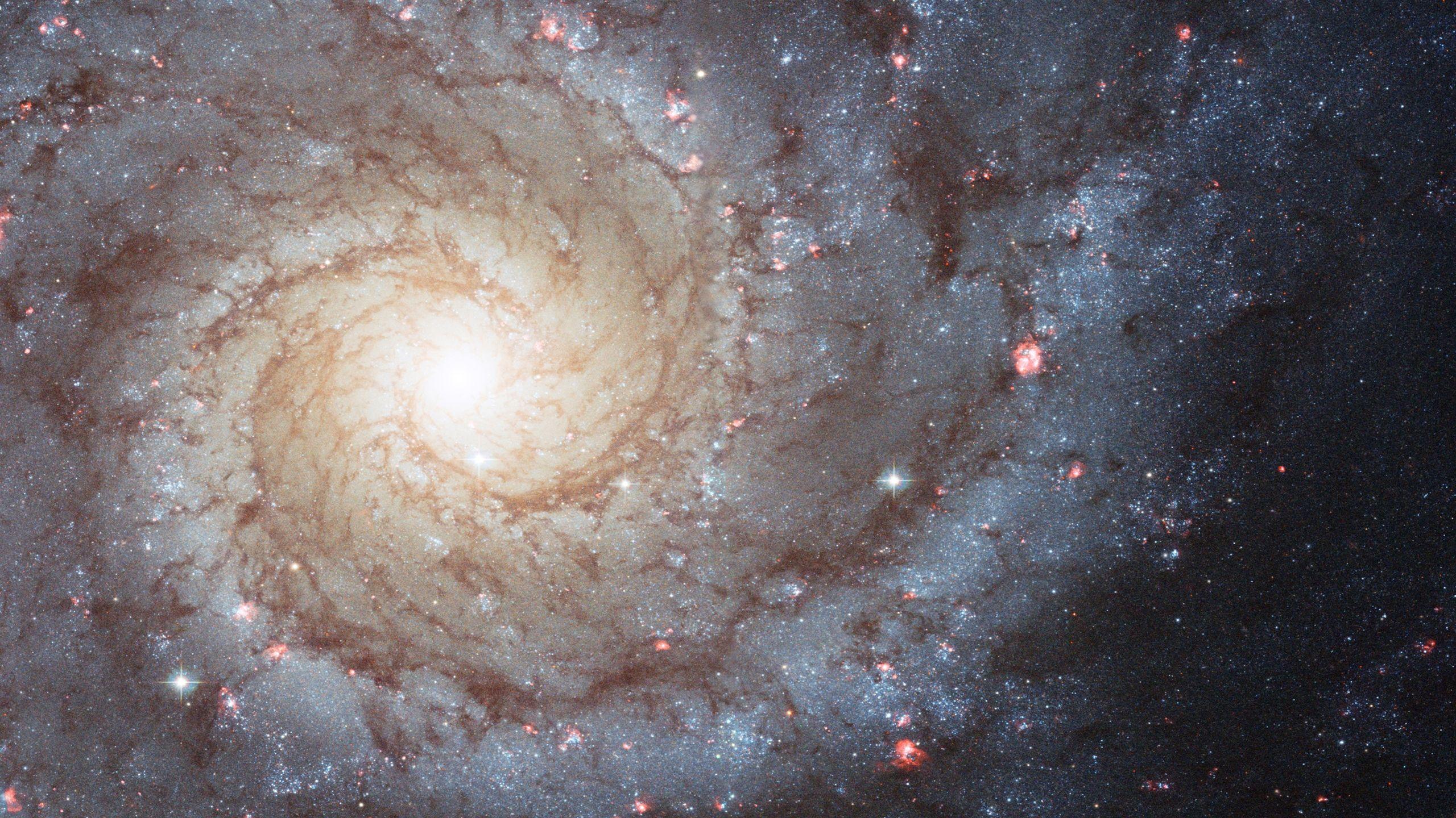 2560x1440 White Nebula Hubble HD Wallpaper :