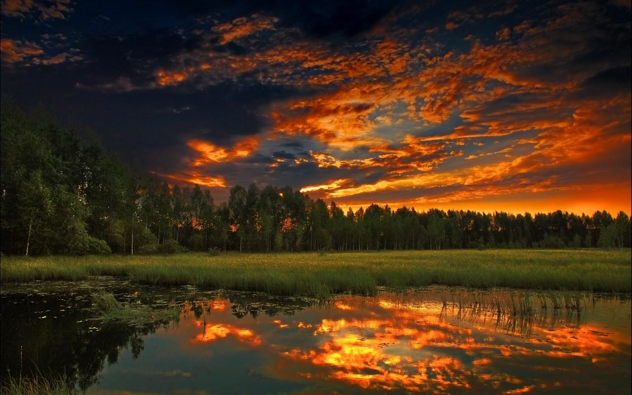 1280x800 Summer Nature HD Wallpaper Definition Wallpaper