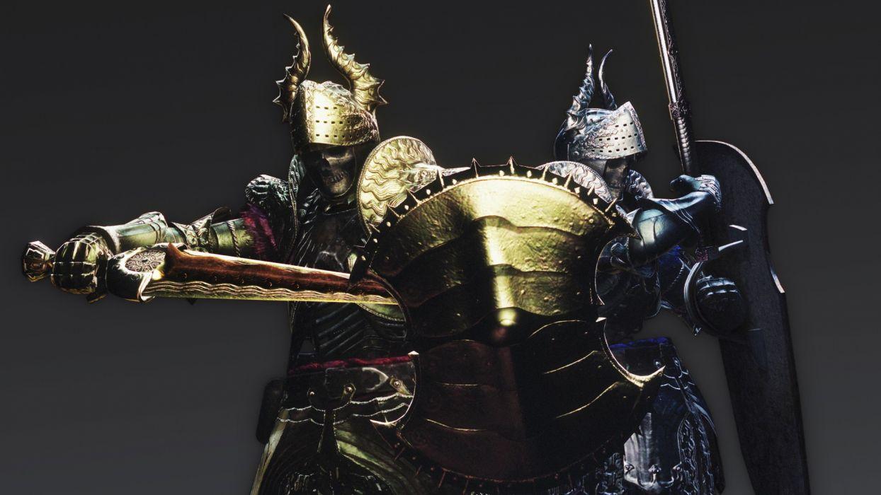 1244x700 DRAGONS DOGMA fantasy game warrior armor g wallpaperx1080