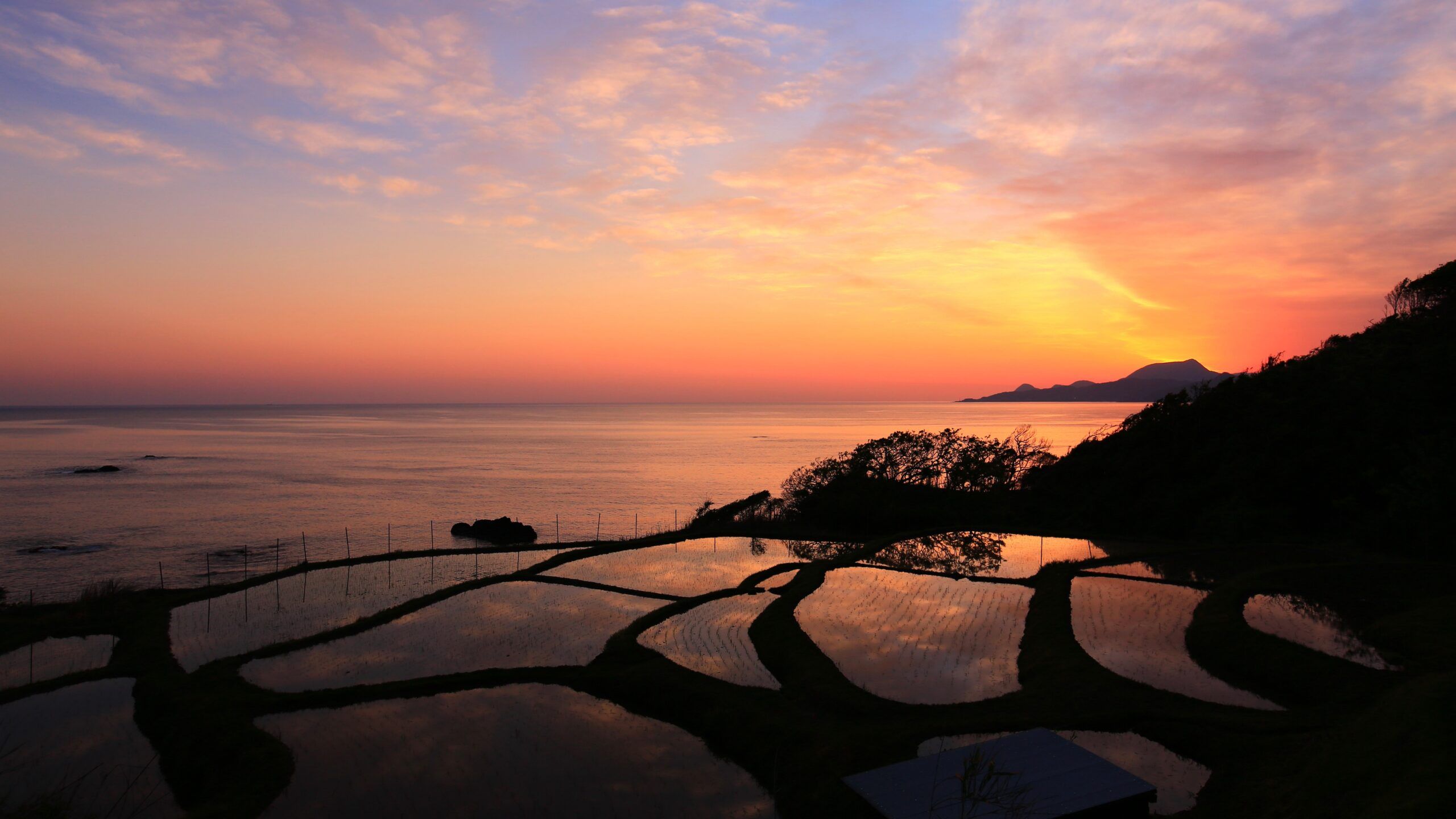 2560x1440 Timeless Japanese Landscape Illuminated by Dawn of Japan