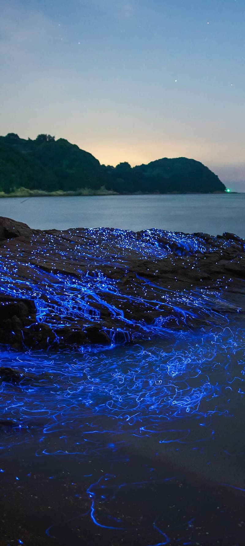 800x1778 Japanese Islands Resolution, Nature, , and Background, 1080x2400 Japan, HD phone wallpaper