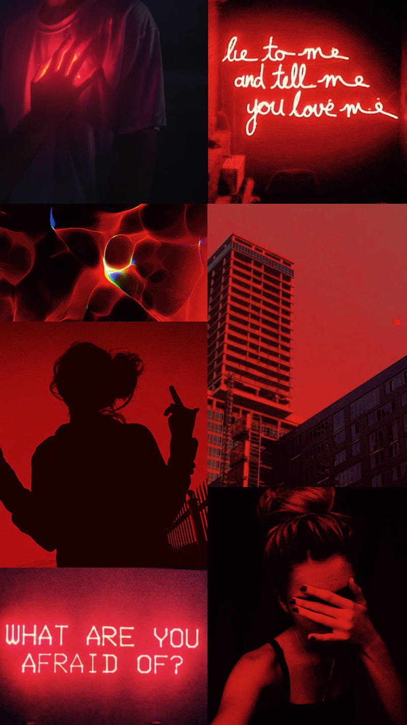 800x1422 Red Neon, girl, kiss, love, new york, HD phone wallpaper