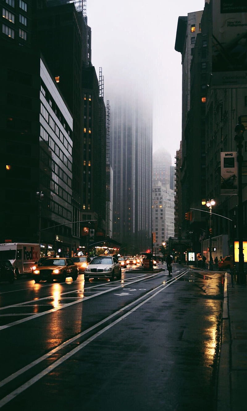 800x1333 New York, blue, car, carros, chicago, fog, galaxy, girl, night, rain, skull, HD phone wallpaper