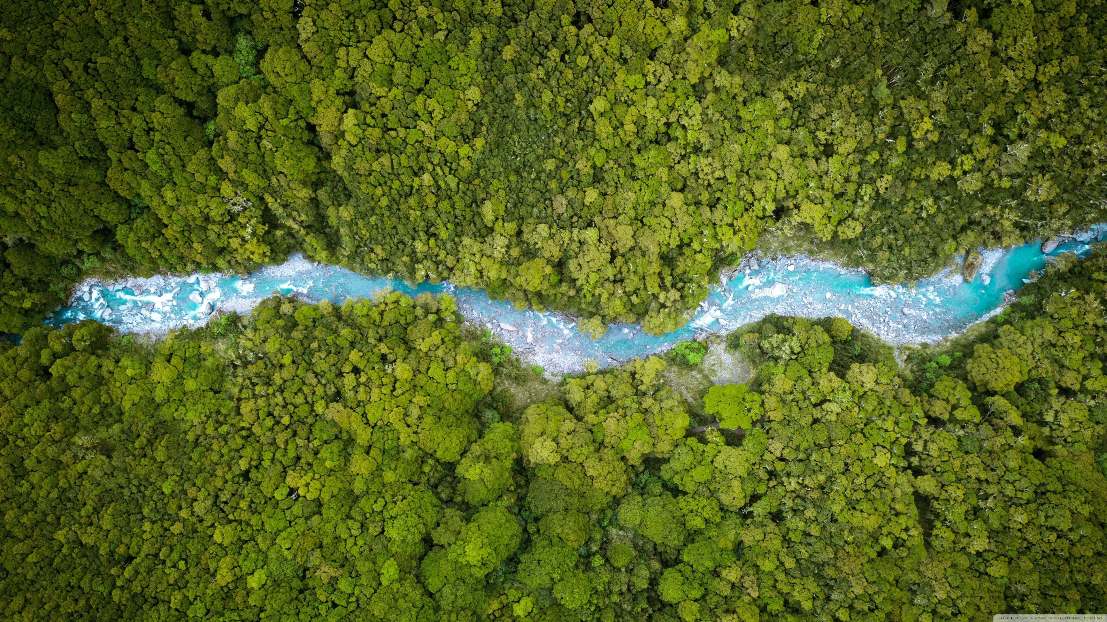 3840x2160 Aerial View, Forest Creek, Summer, Nature Ultra HD Desktop Background Wallpaper for 4K UHD TV : Widescreen & UltraWide Desktop & Laptop : Tablet