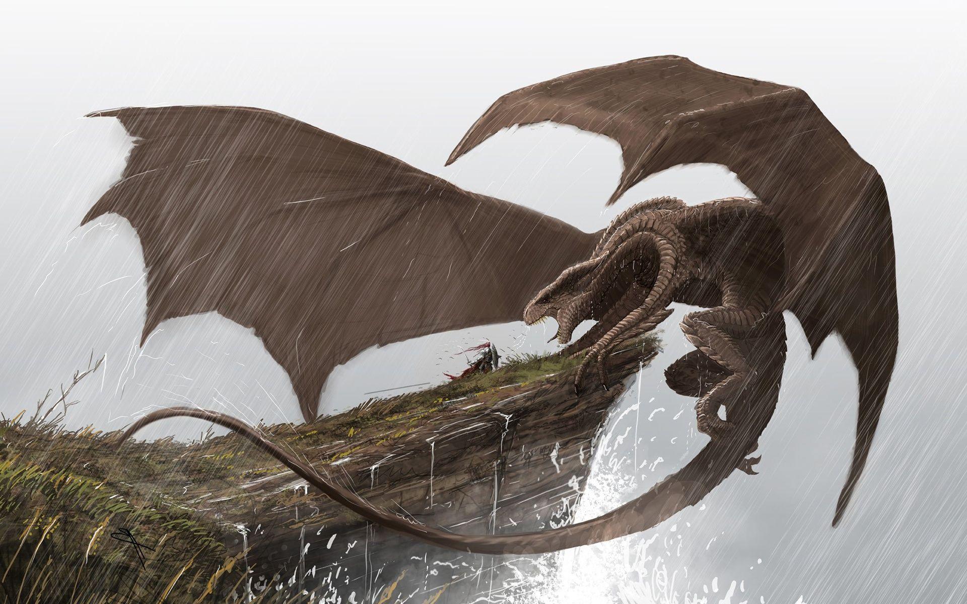 1920x1200 Dragon Vs Knight Wallpaperx1200