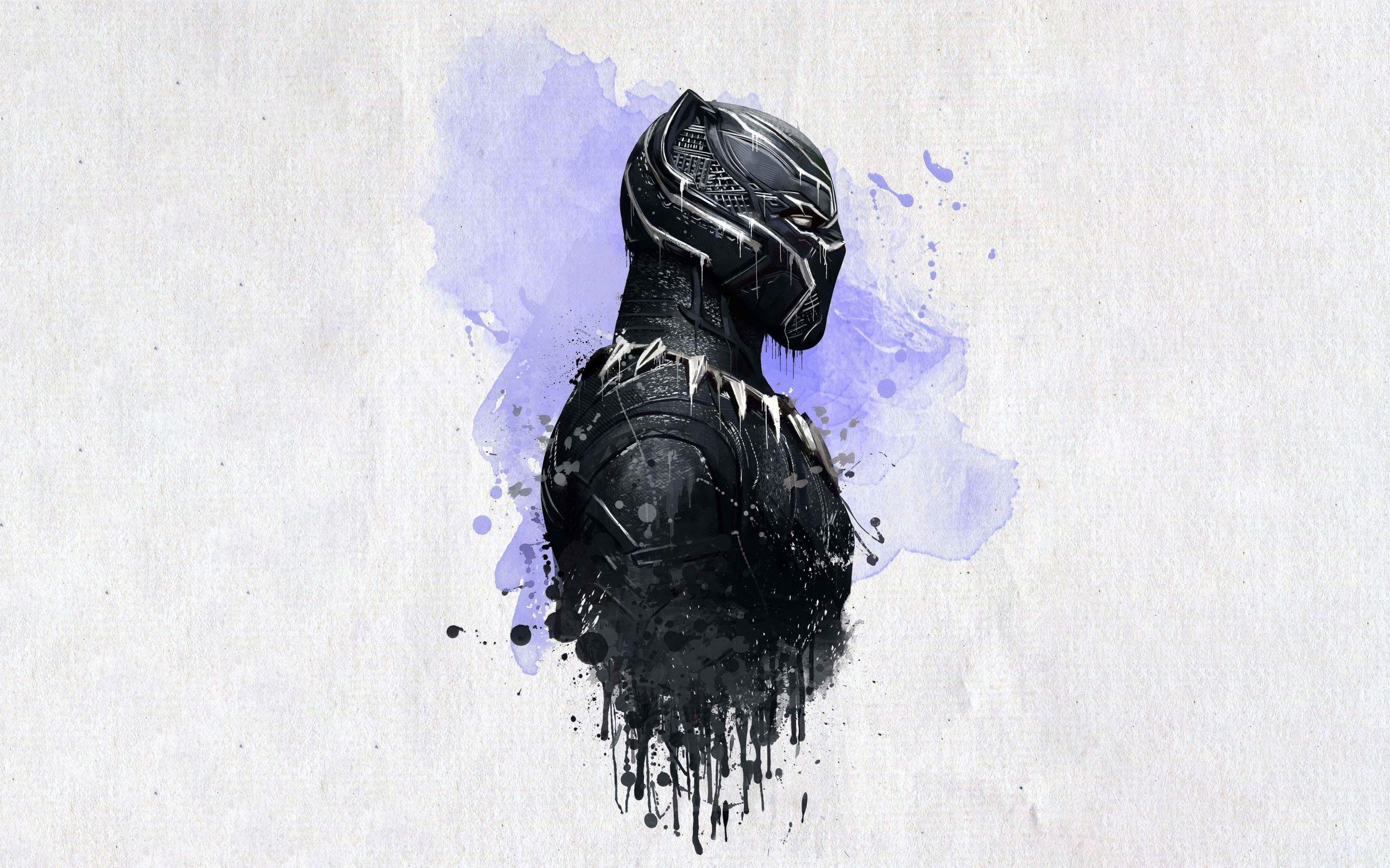 2560x1600 Wallpaper Of Avengers Infinity War, Black Panther, Panther Wallpaper Art