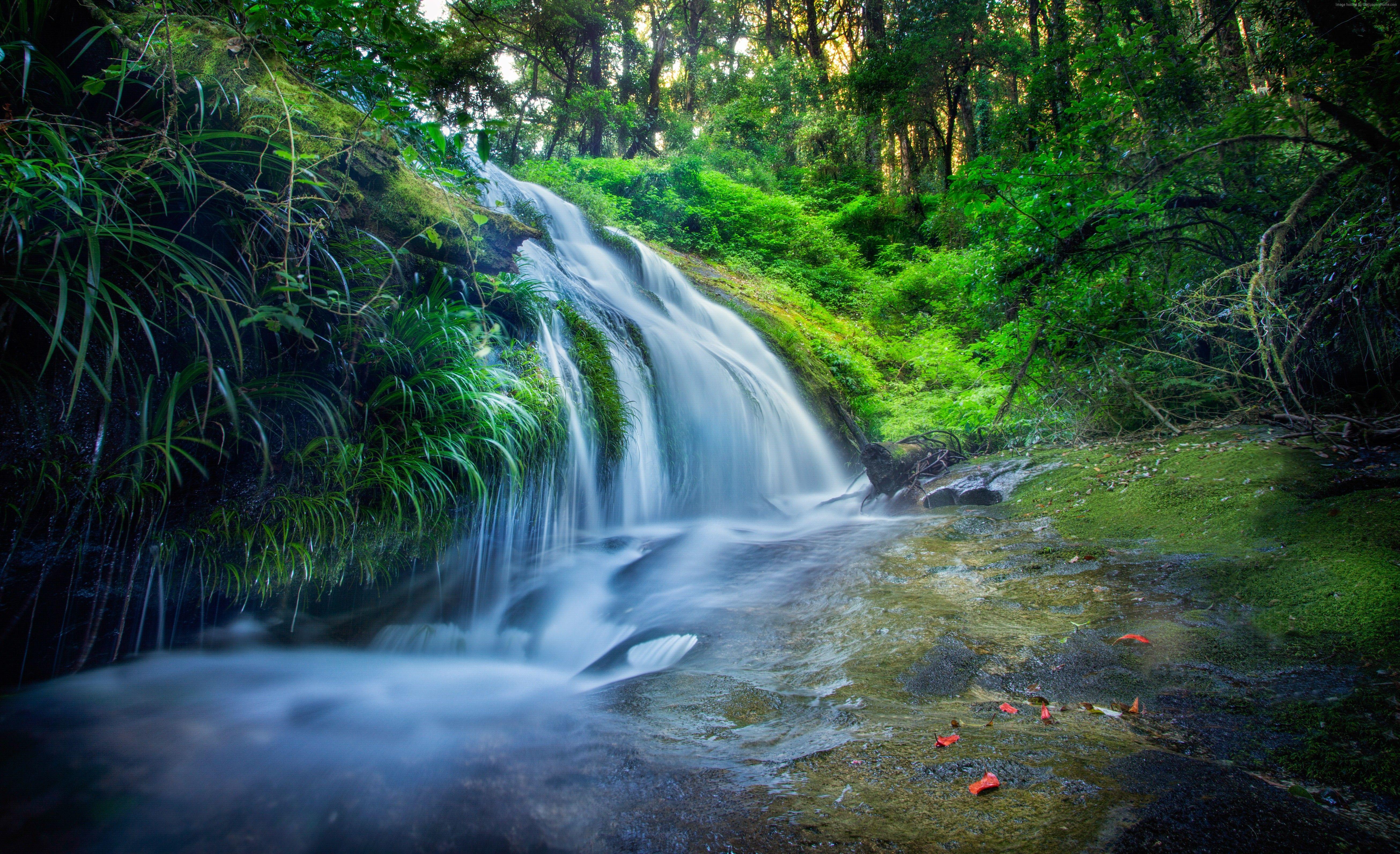 5222x3185 #rocks trees, #waterfall, #forest, #plants, #river, k wallpaper, # 8k, k HD Wallpaper