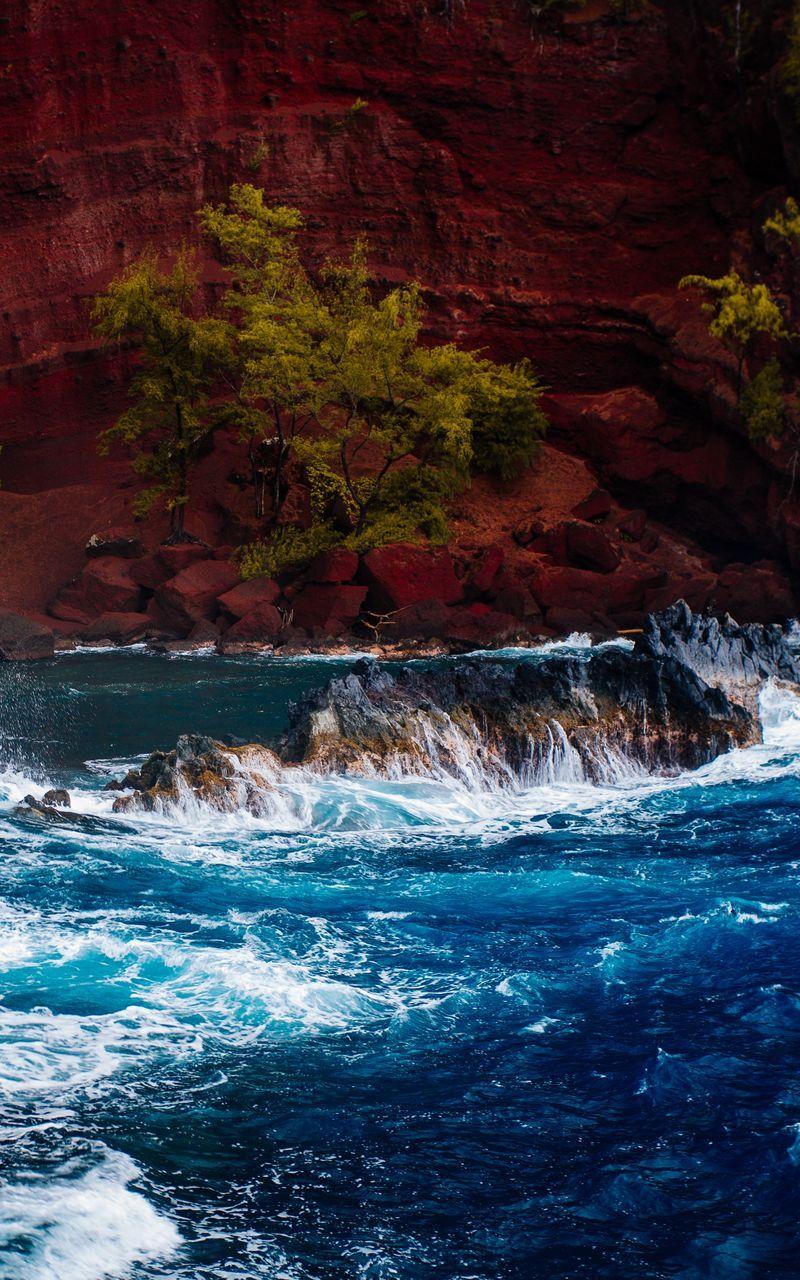 800x1280 Download Wallpaper 800x1280 Ocean, Surf, Rocks, Trees, Hawaii Samsung Galaxy Note Gt N Meizu Mx2 HD Background
