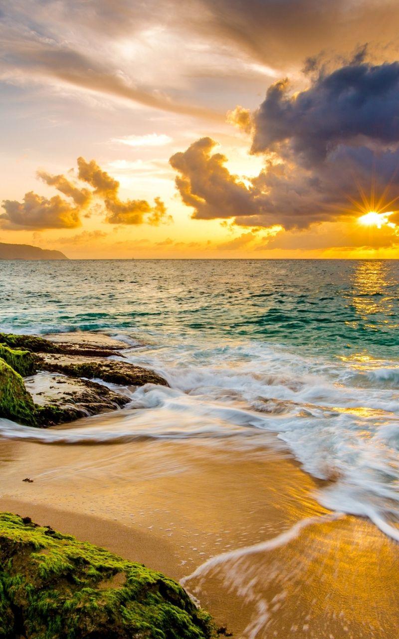800x1280 Free download 86 Hawaii HD Wallpaper Background Image [3841x2160] for your Desktop, Mobile & Tablet. Explore Hawaiian Wallpaper Desktop. Free Hawaiian Wallpaper, Free Wallpaper For Desktop, Hawaiian Print Wallpaper
