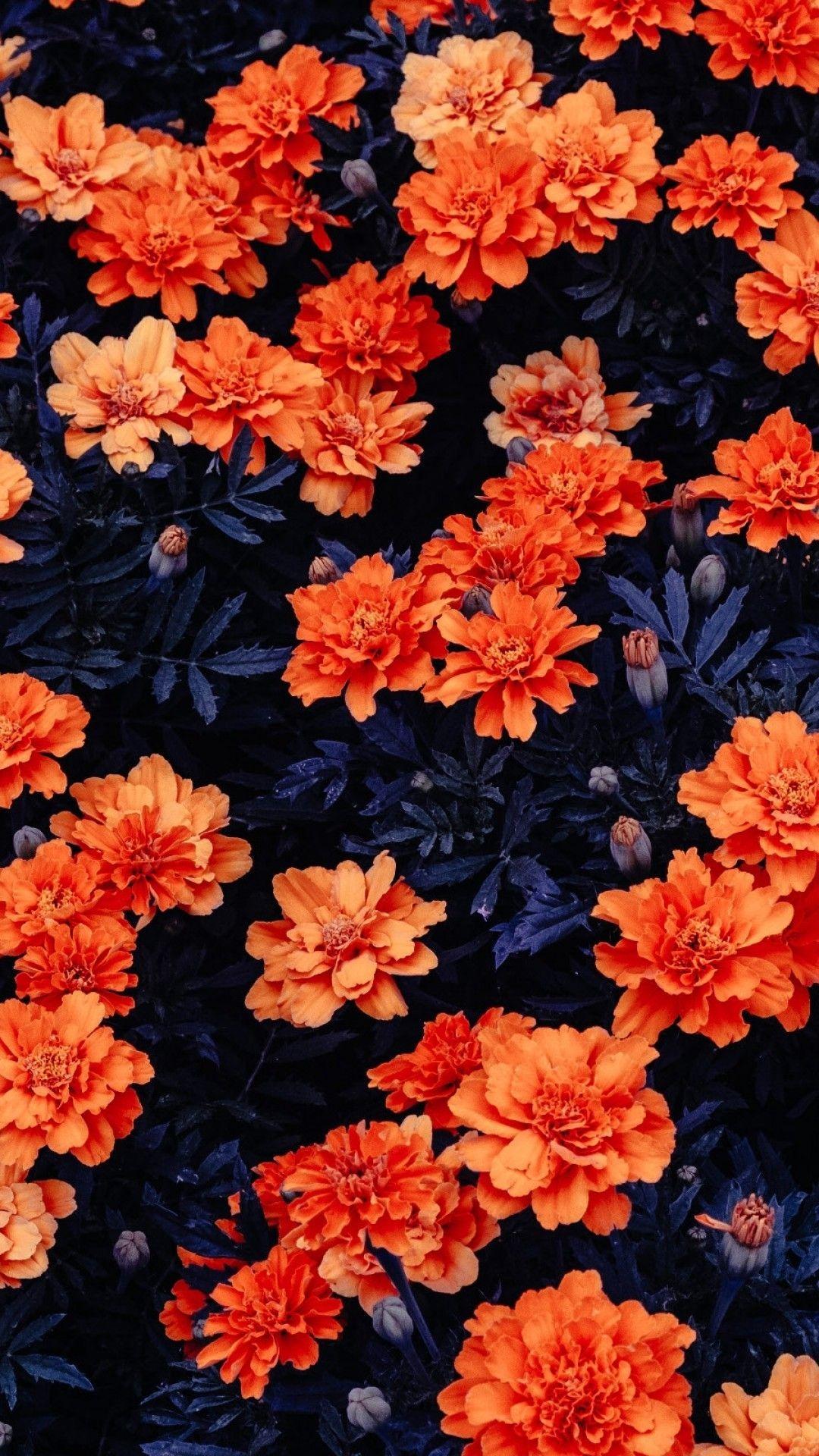 Modern Orange Color Floral wallpaper for living rooms  Paper Plane Design