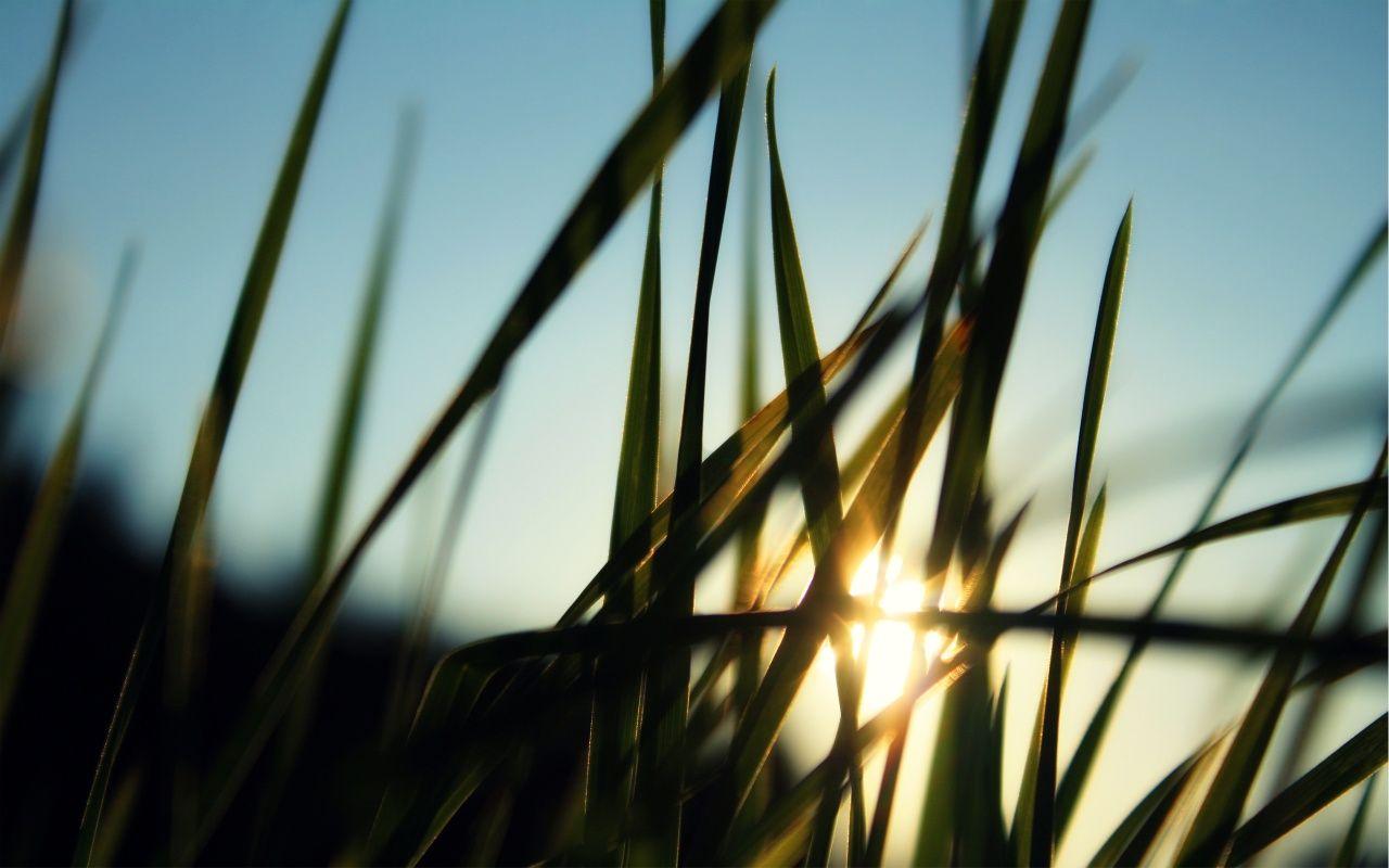 1280x800 HD Wallpaper
