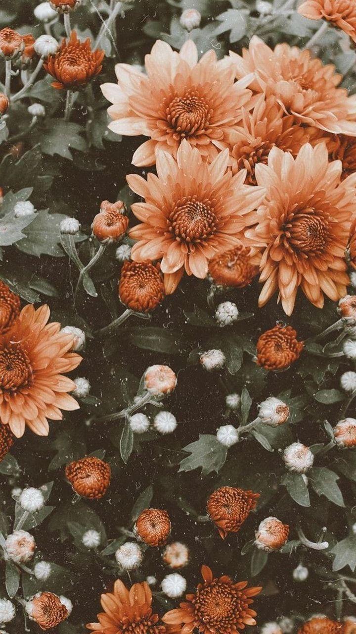 Premium Photo  Vibrant floral wallpaper with a mix of orange red and white  flowers created with generative ai technology