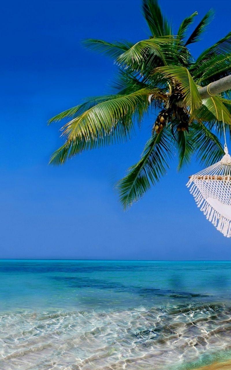 800x1280 Free download 4K Hawaii Wallpaper for Desktop - [2560x1440] for your Desktop, Mobile & Tablet. Explore Hawaiian Wallpaper Desktop. Free Hawaiian Wallpaper, Free Wallpaper For Desktop, Hawaiian Print Wallpaper