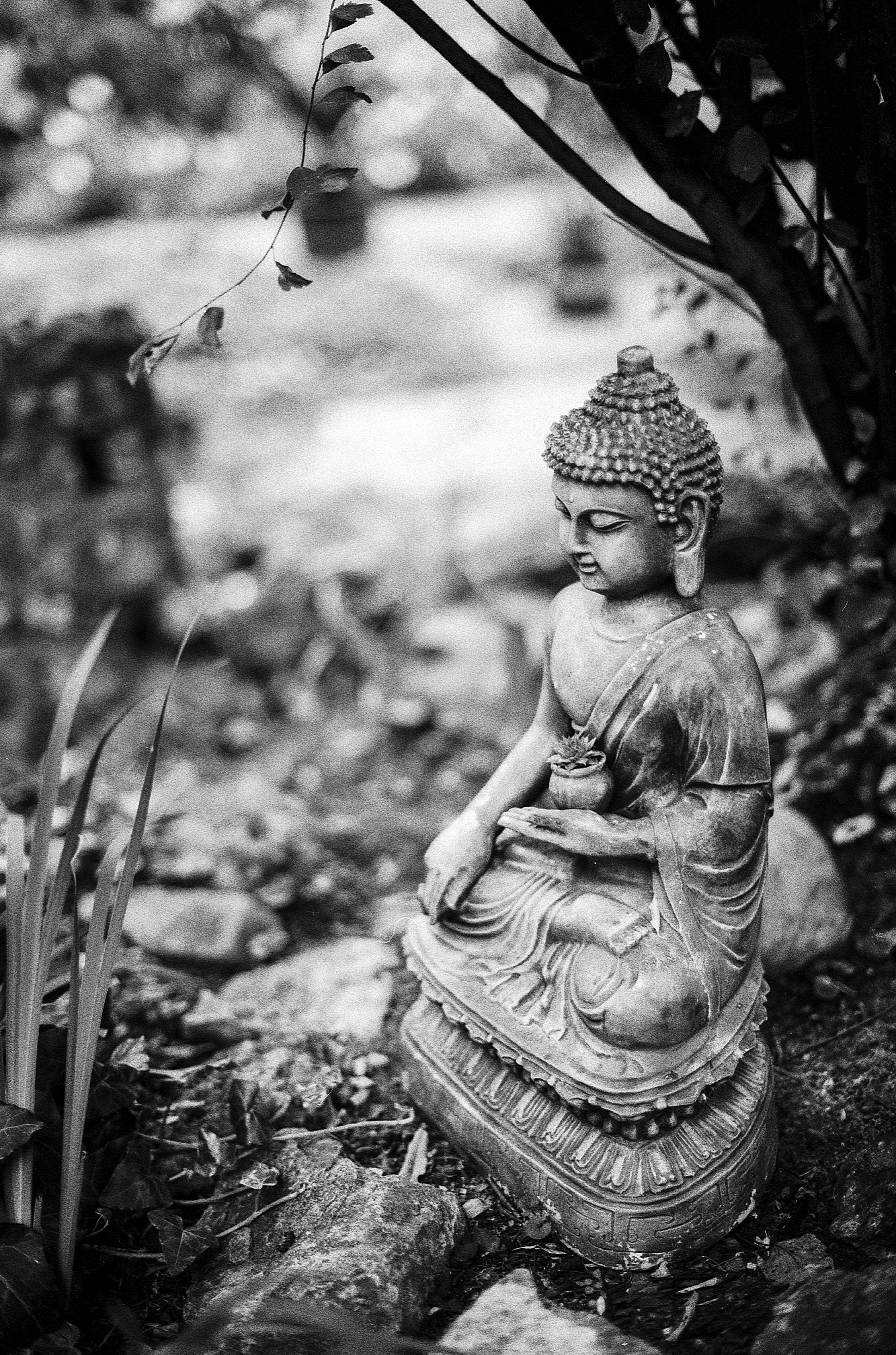 2251x3404 meditating buddha grayscale photography free image