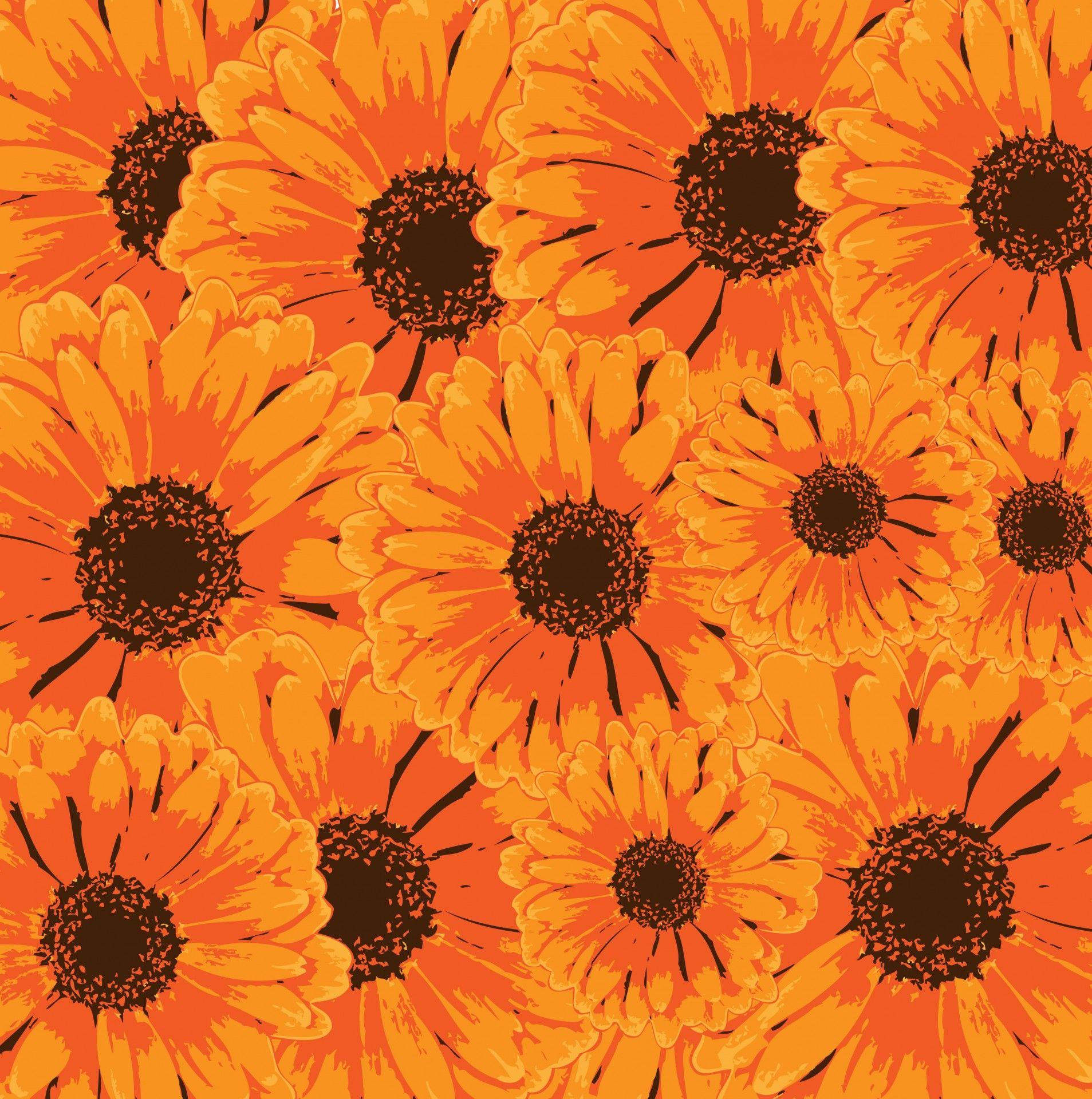 Orange Floral Wallpapers - Top Free Orange Floral Backgrounds