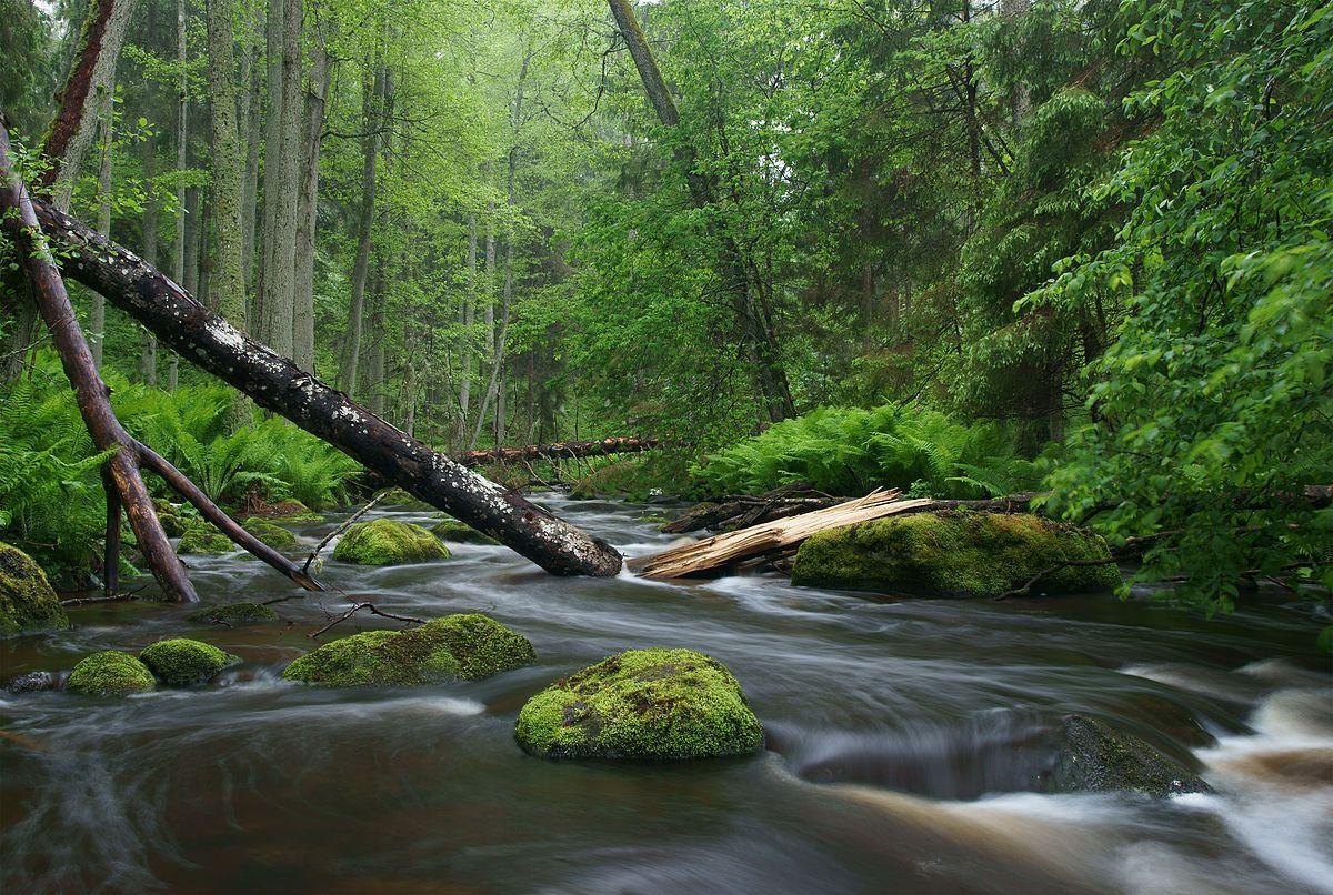 1200x806 Nature photography