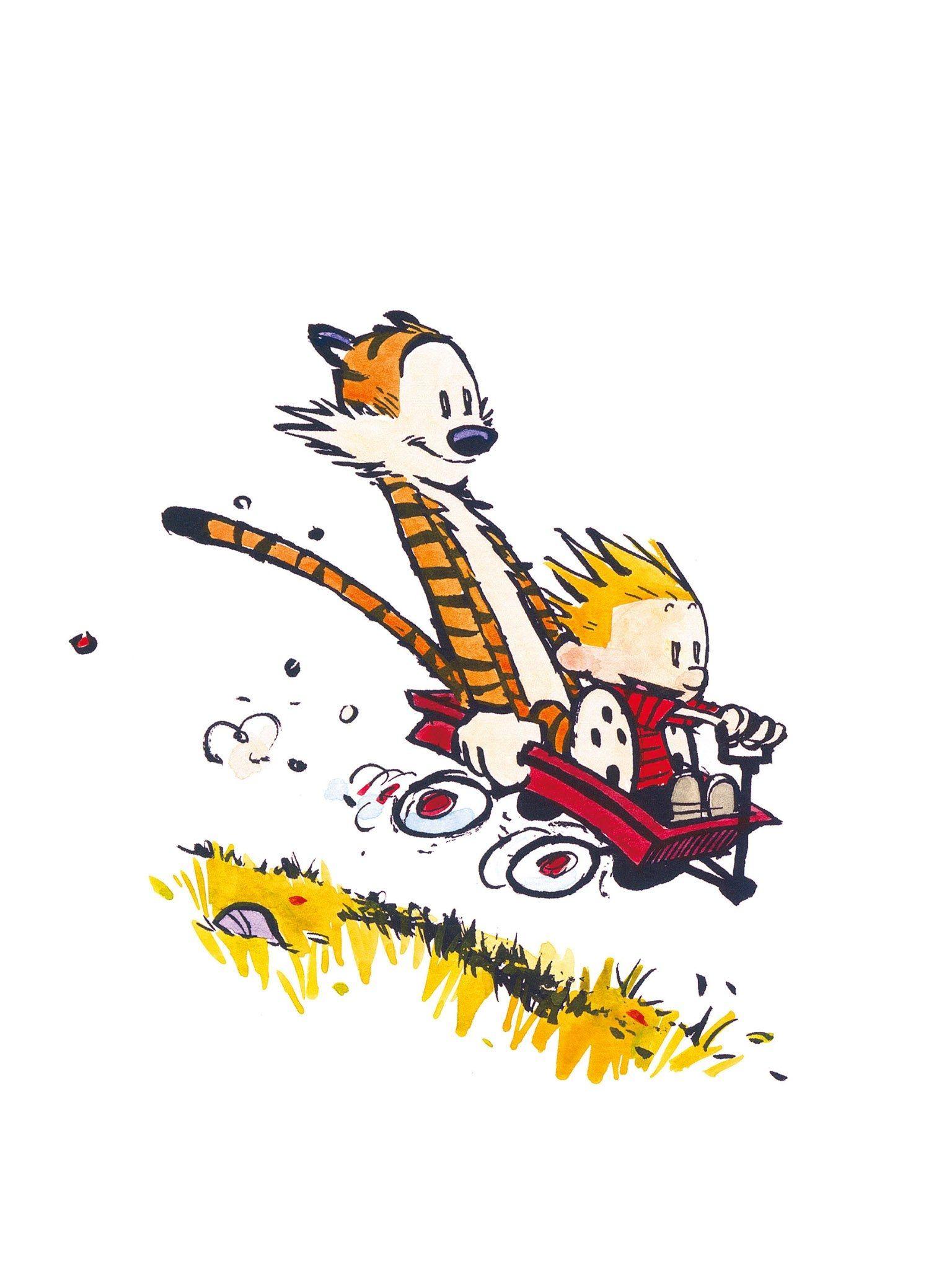 1536x2048 Free download FREEIOS7 calvin and hobbes fly parallax HD iPhone iPad wallpaper [2048x2048] for your Desktop, Mobile & Tablet. Explore Calvin and Hobbes iPhone Wallpaper. Calvin and Hobbes HD