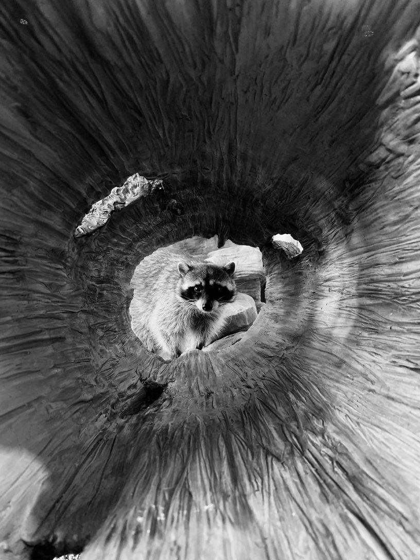 816x1088 Apple highlights best photo shot on iPhone around the world