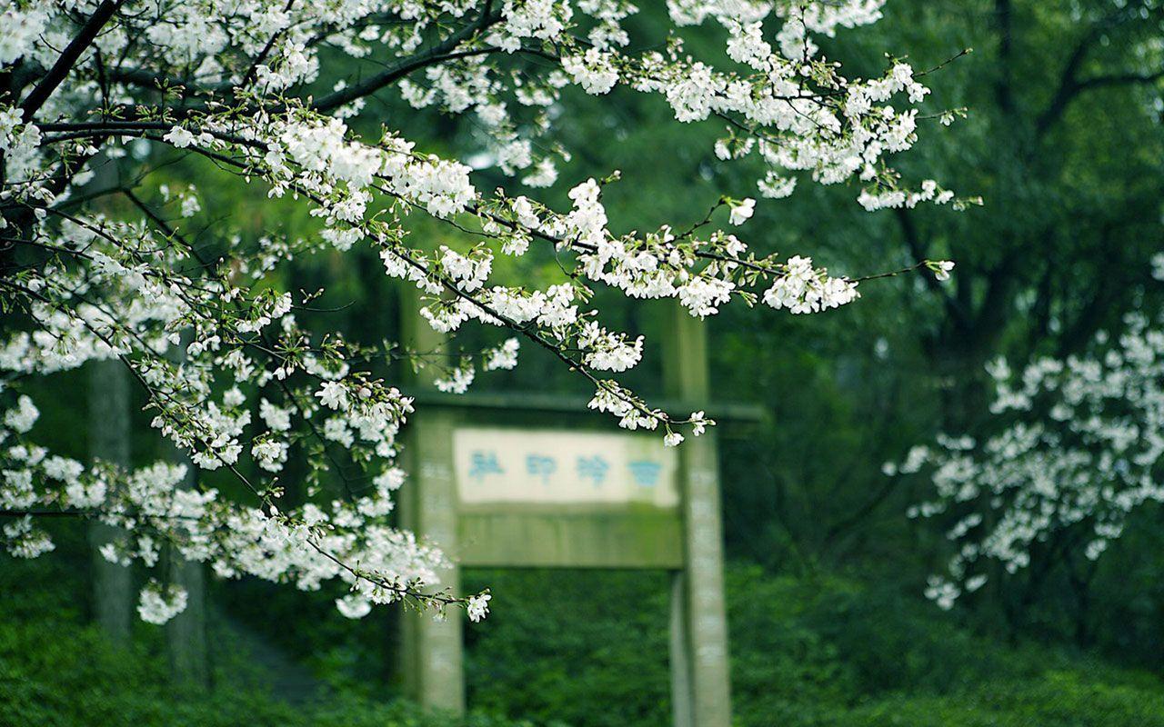 1280x800 Suzhou, Jiangsu famous attractions photography wallpaper 9