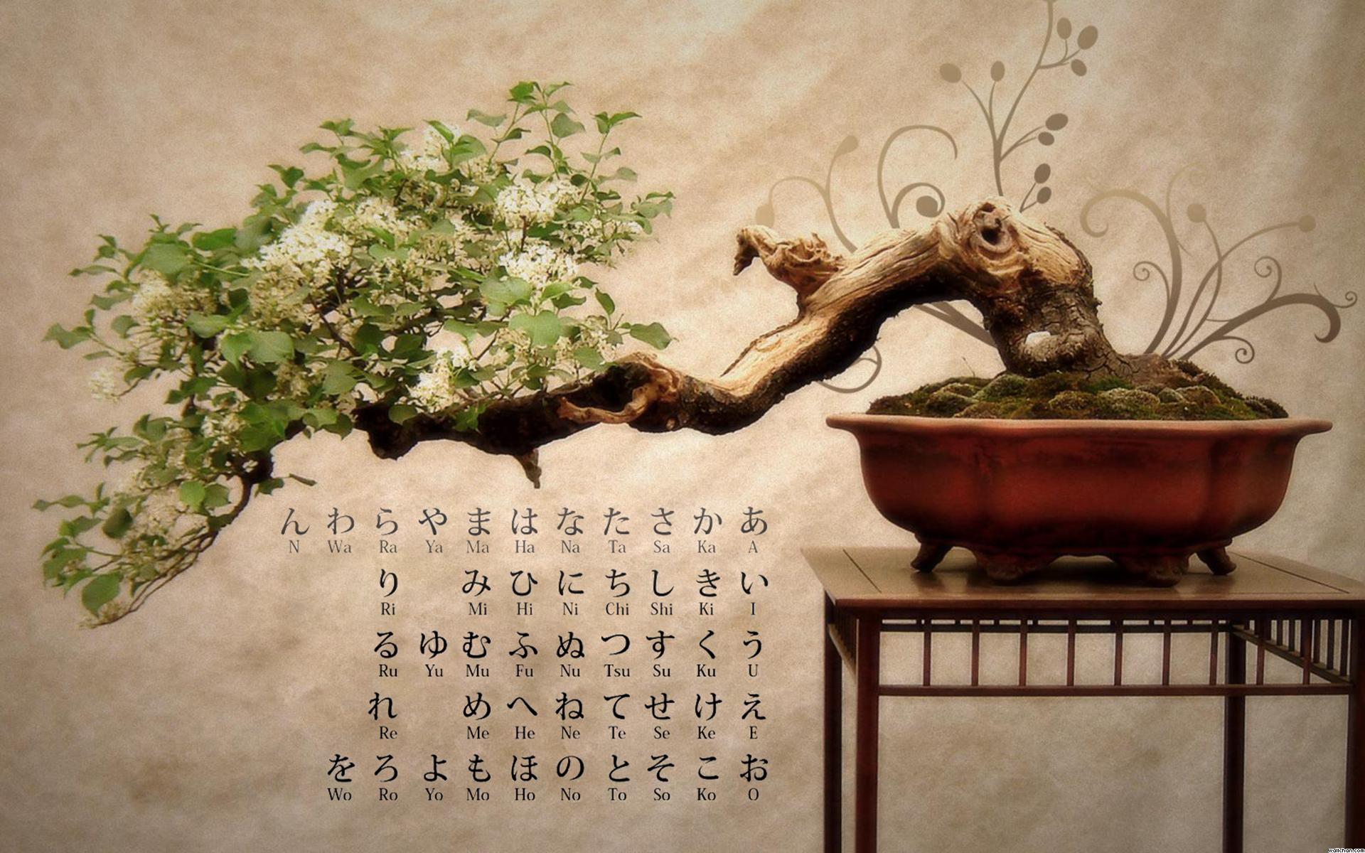 1920x1200 IM394: Japanese Wallpaper, Japanese Image In High Quality, T4.Themes