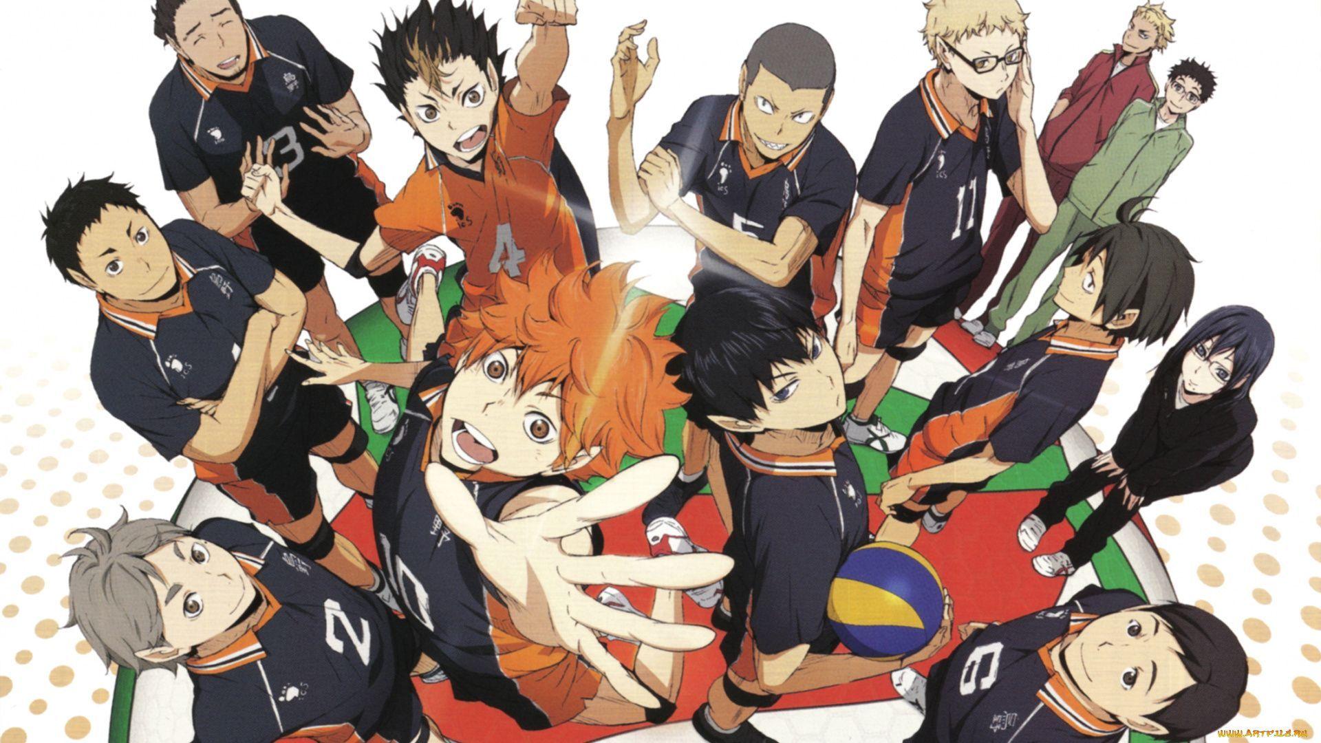 Haikyuu Karasuno Volleyball Team 4K Wallpaper #7.2827