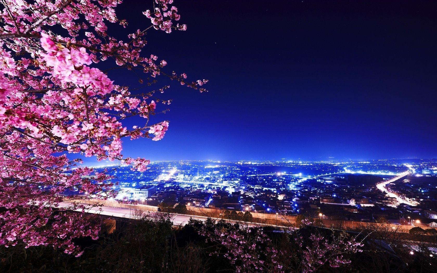 1680x1050 Sakura Wallpaper, Background, Photo, Image, Stock
