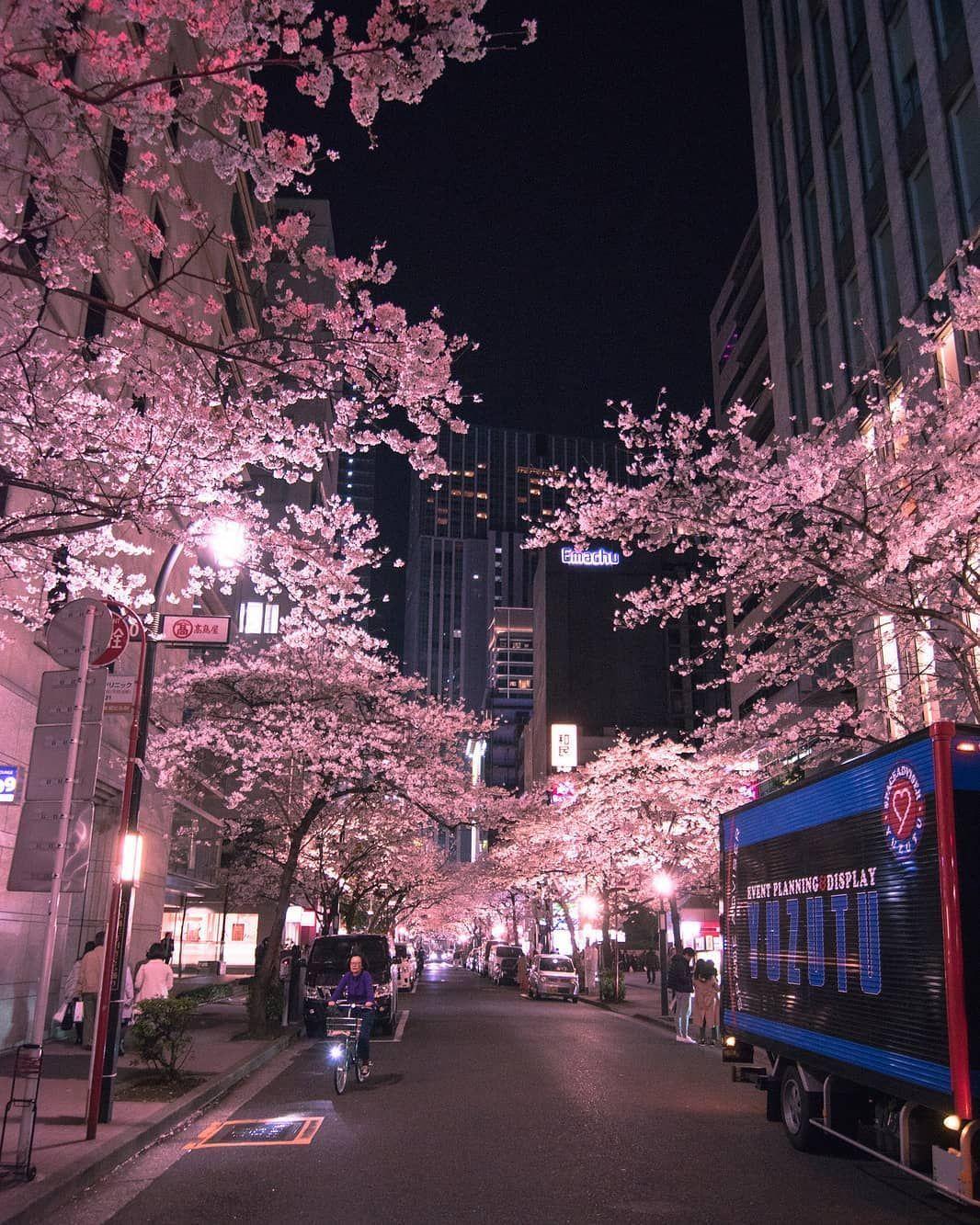 1066x1333 Nihonbashi, Japan. . #Nihonbashi #Tokyo #Japan #night #city #nikon #neon #street #d5500 #sakura #blosso. City aesthetic, Aesthetic japan, Night aesthetic