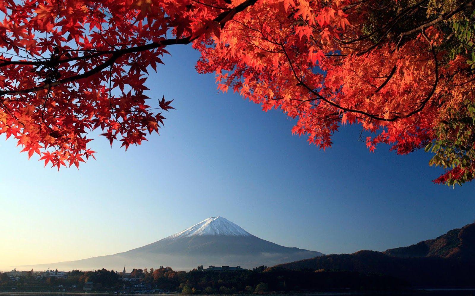 1600x1000 Autumn Color in Japan theme for Windows