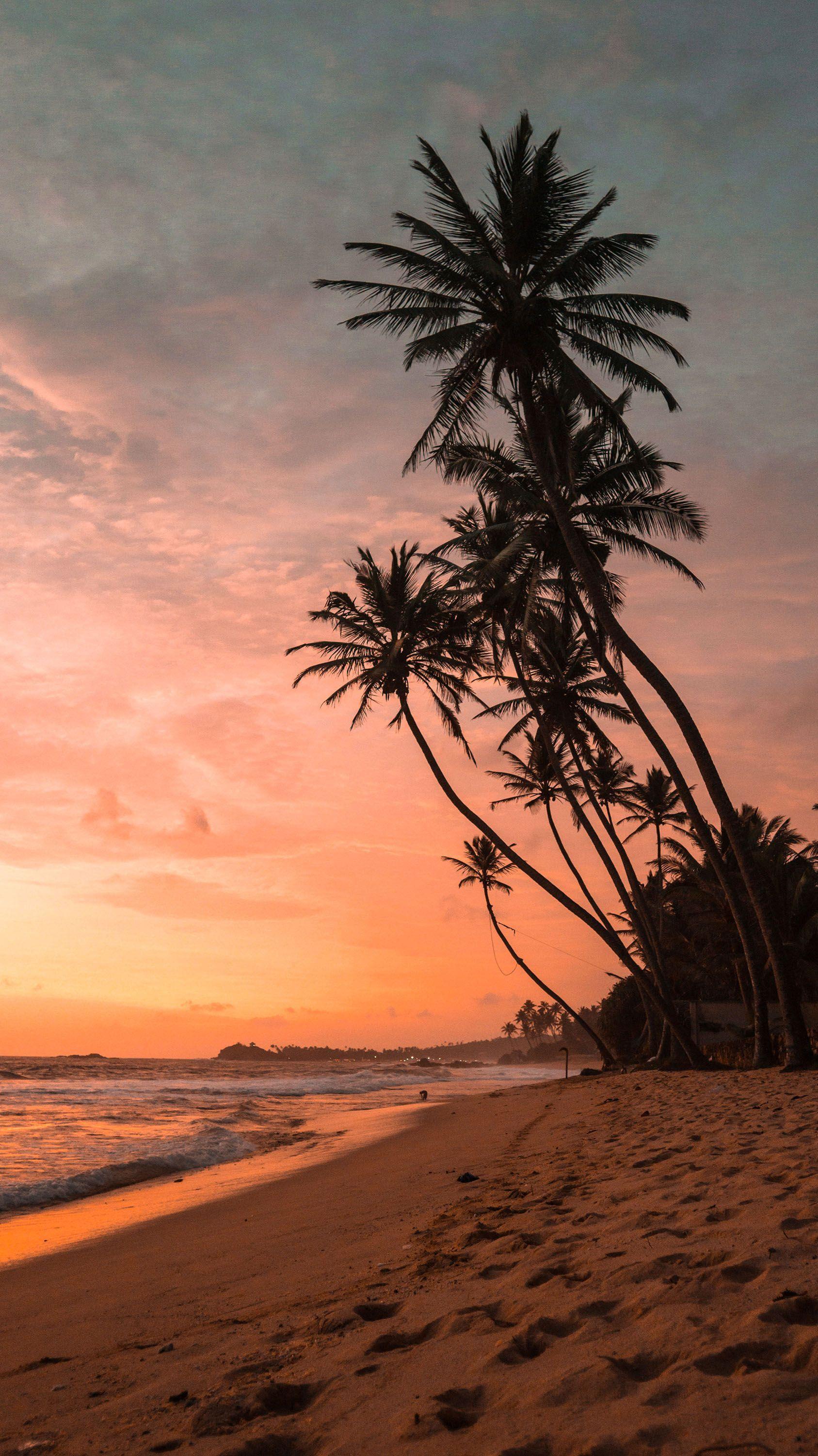 1687x3000 palmtrees #trees #silhouette #sunset #dusk #orange #beach #ocean #water #sand #photooftheday #beautiful #wonderful #amazing #awesome #QH. Wallpaper, Beach wallpaper, Nature photography