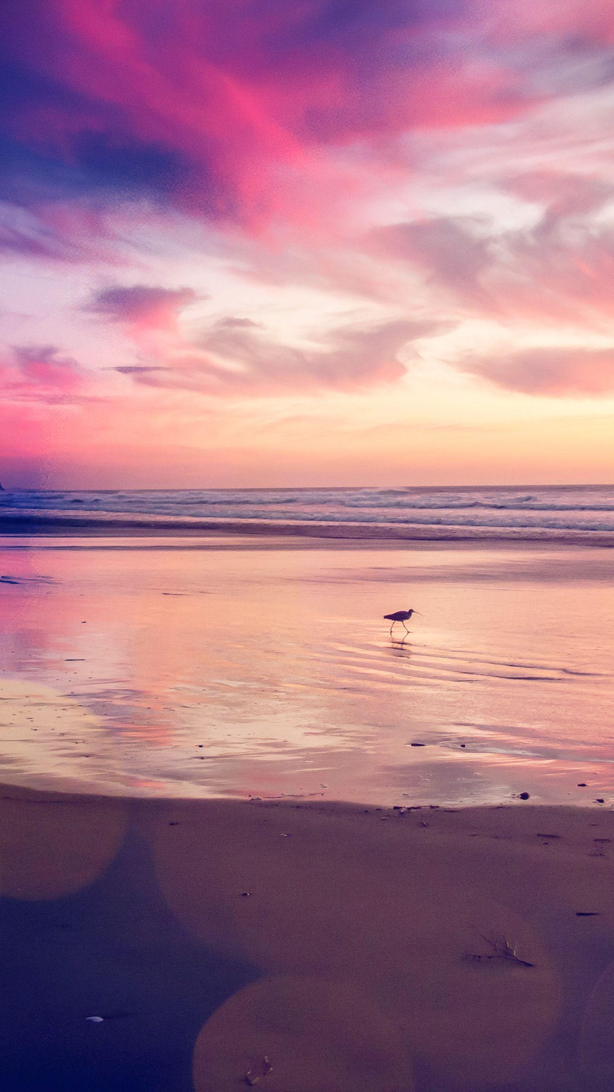 1242x2208 Sunset Beach Bird Red Orange Nature Sea Bokeh Android wallpaper HD wallpaper