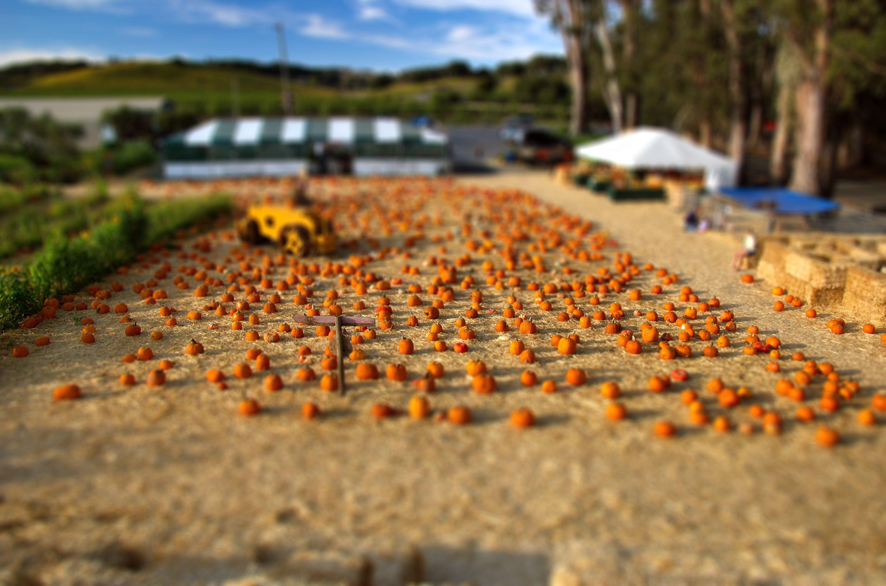 3028x2002 Tilt Shift Wallpaperx2002
