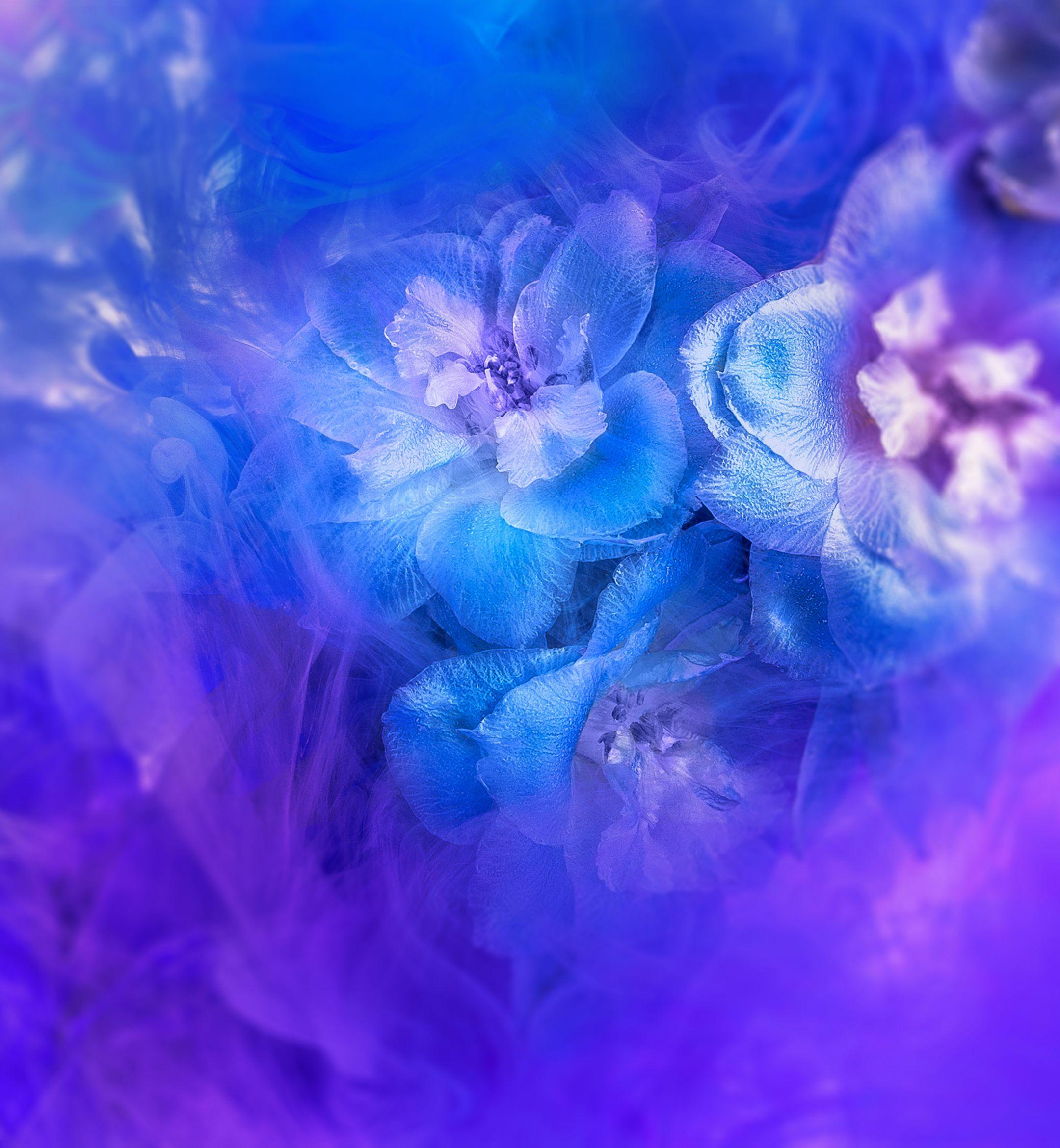 2160x2340 Download Huawei Nova 3 Stock Wallpaper