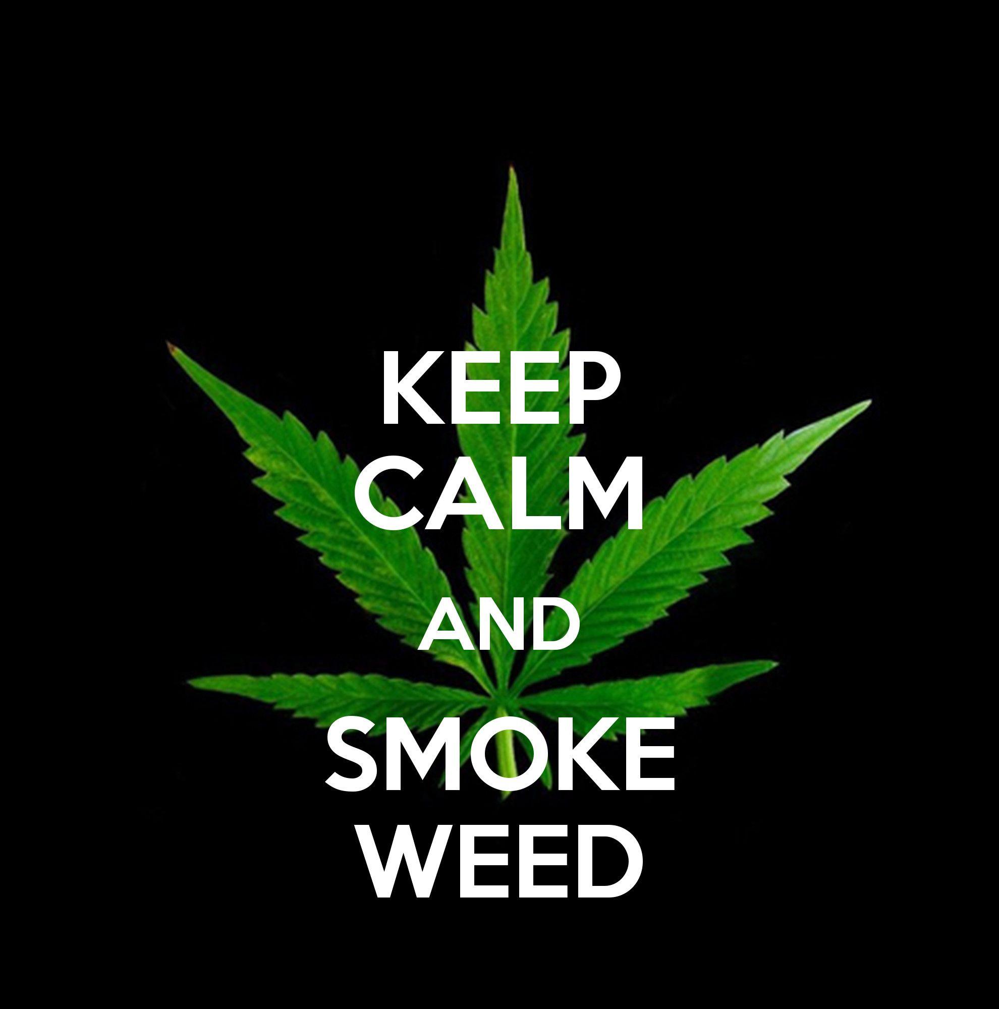 1980x2000 Cover Picture Twitter Pic Widescreen Wallpaper Normal Leaf HD Wallpaper