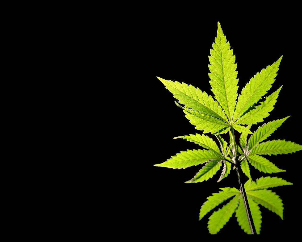 1280x1024 Smoke Free HD Wallpaper