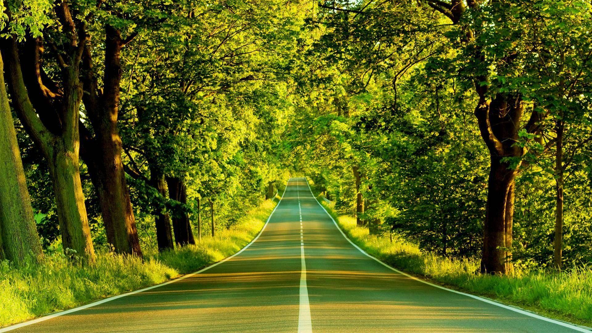 Green Road Wallpapers - Top Free Green Road Backgrounds - WallpaperAccess