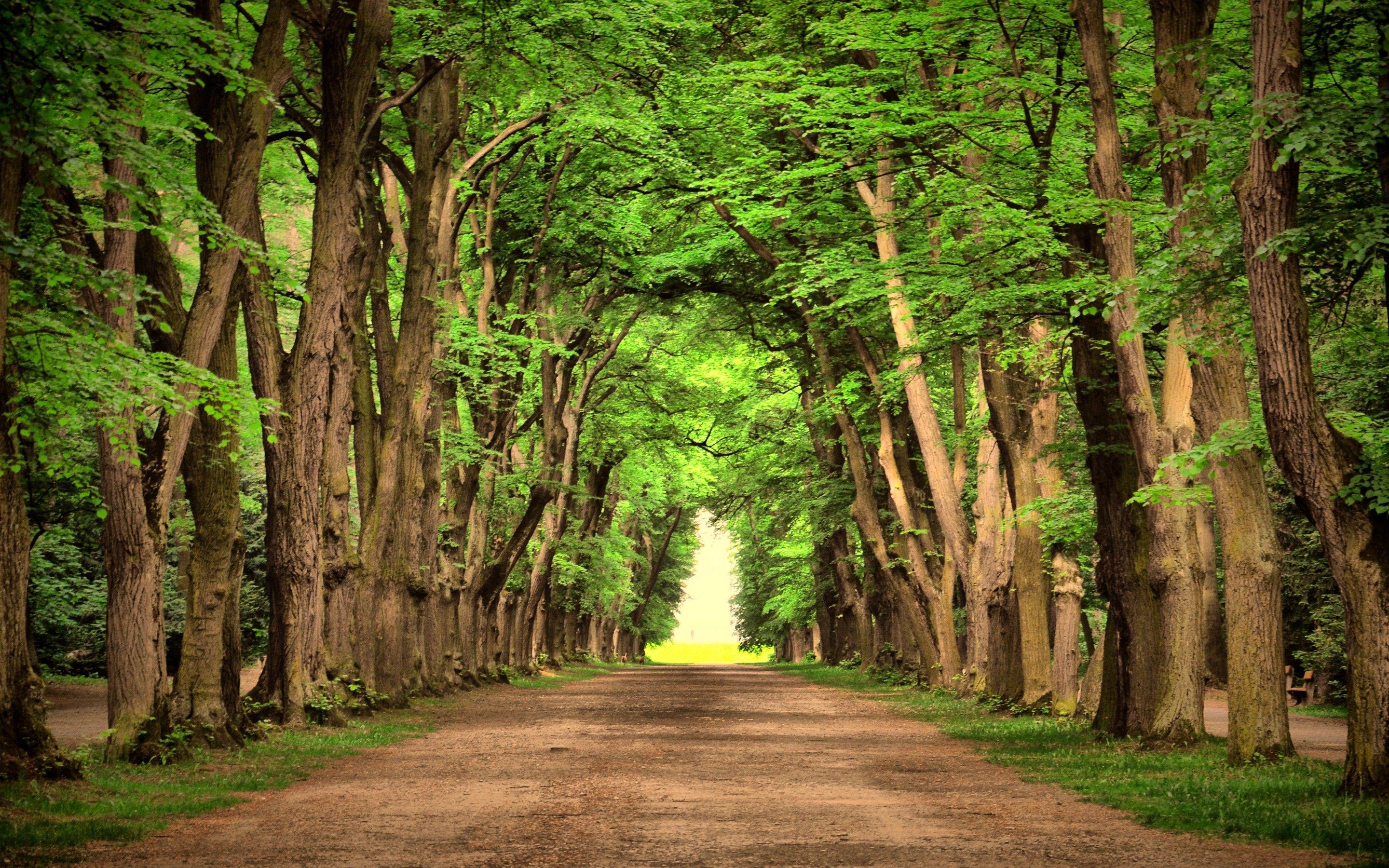 Green Road Wallpapers Top Free Green Road Backgrounds WallpaperAccess