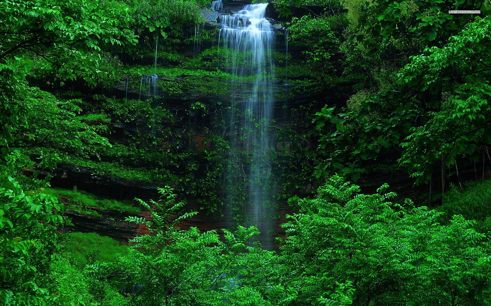 1920x1200 Waterfall Grass Green Forest wallpaper. Waterfall Grass Green Forest