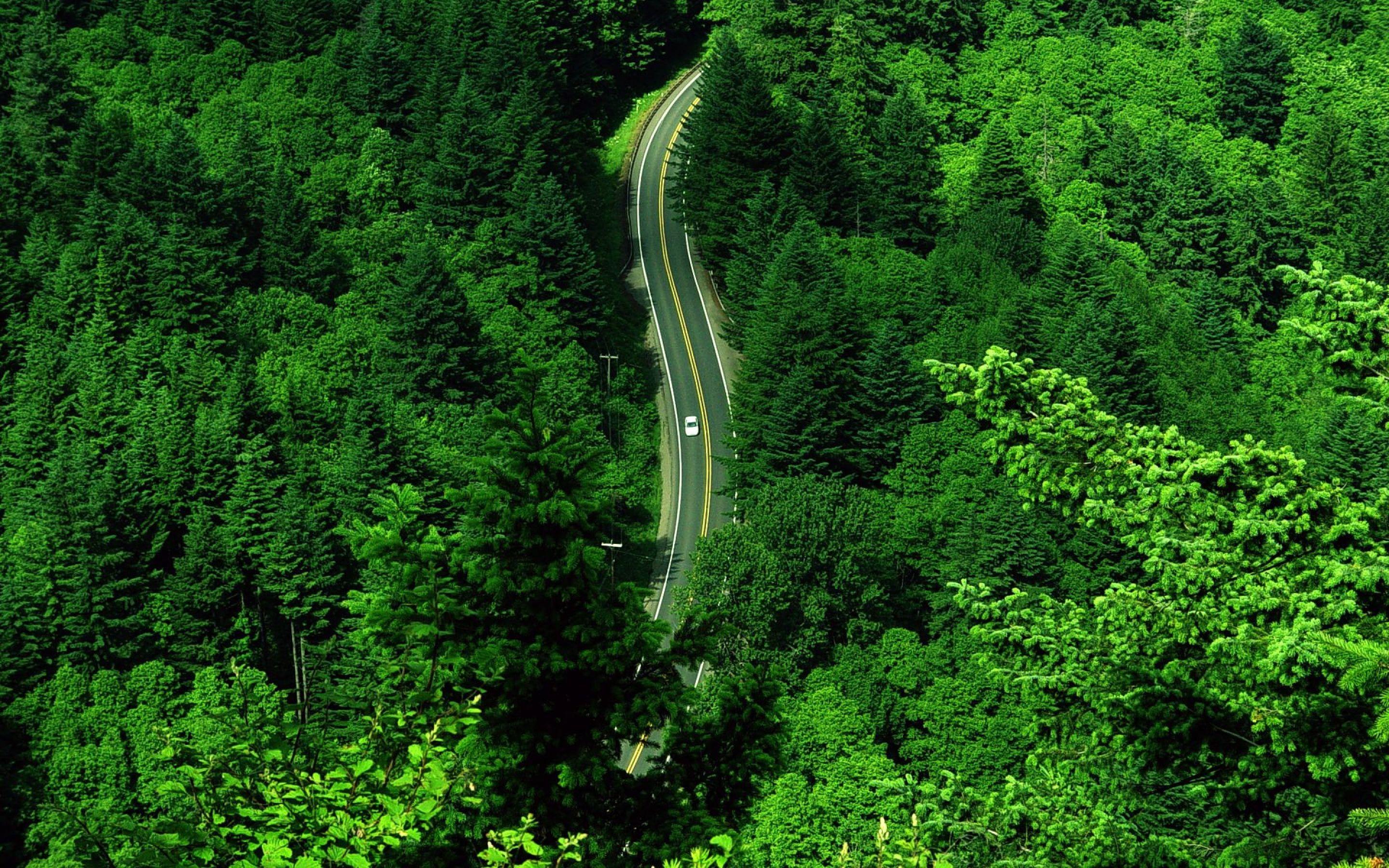 Green Road Wallpapers Top Free Green Road Backgrounds WallpaperAccess