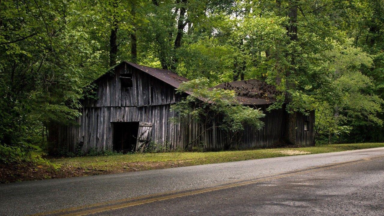 1280x720 Download 1280x720 Shed, Bosque, Green, Road Wallpaper