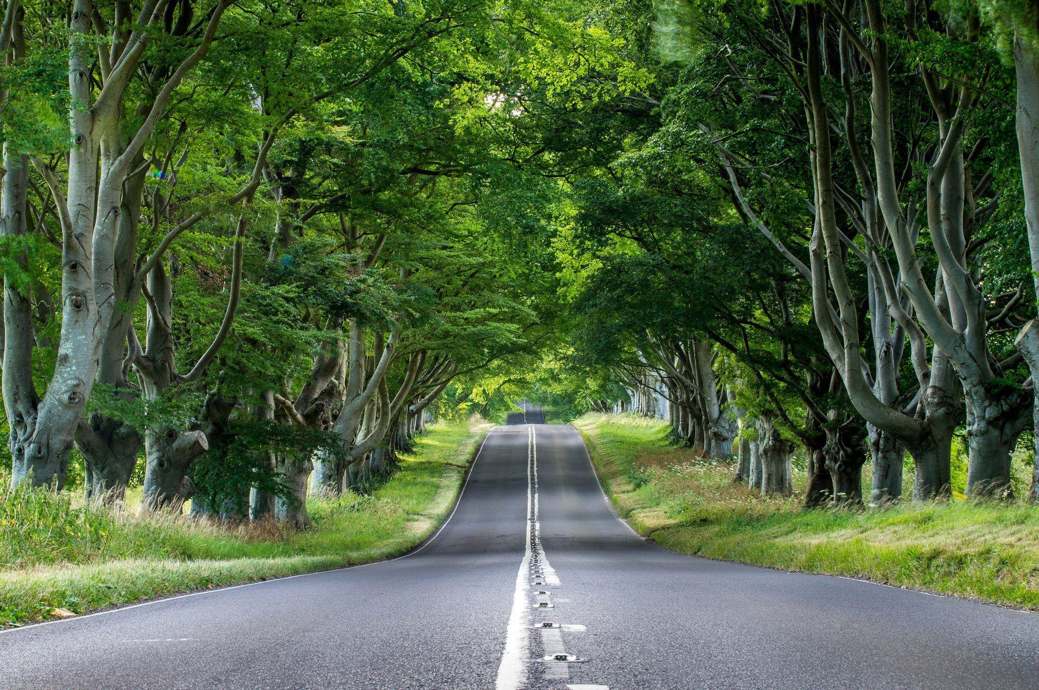 40,000+ Free Road & Nature Images - Pixabay