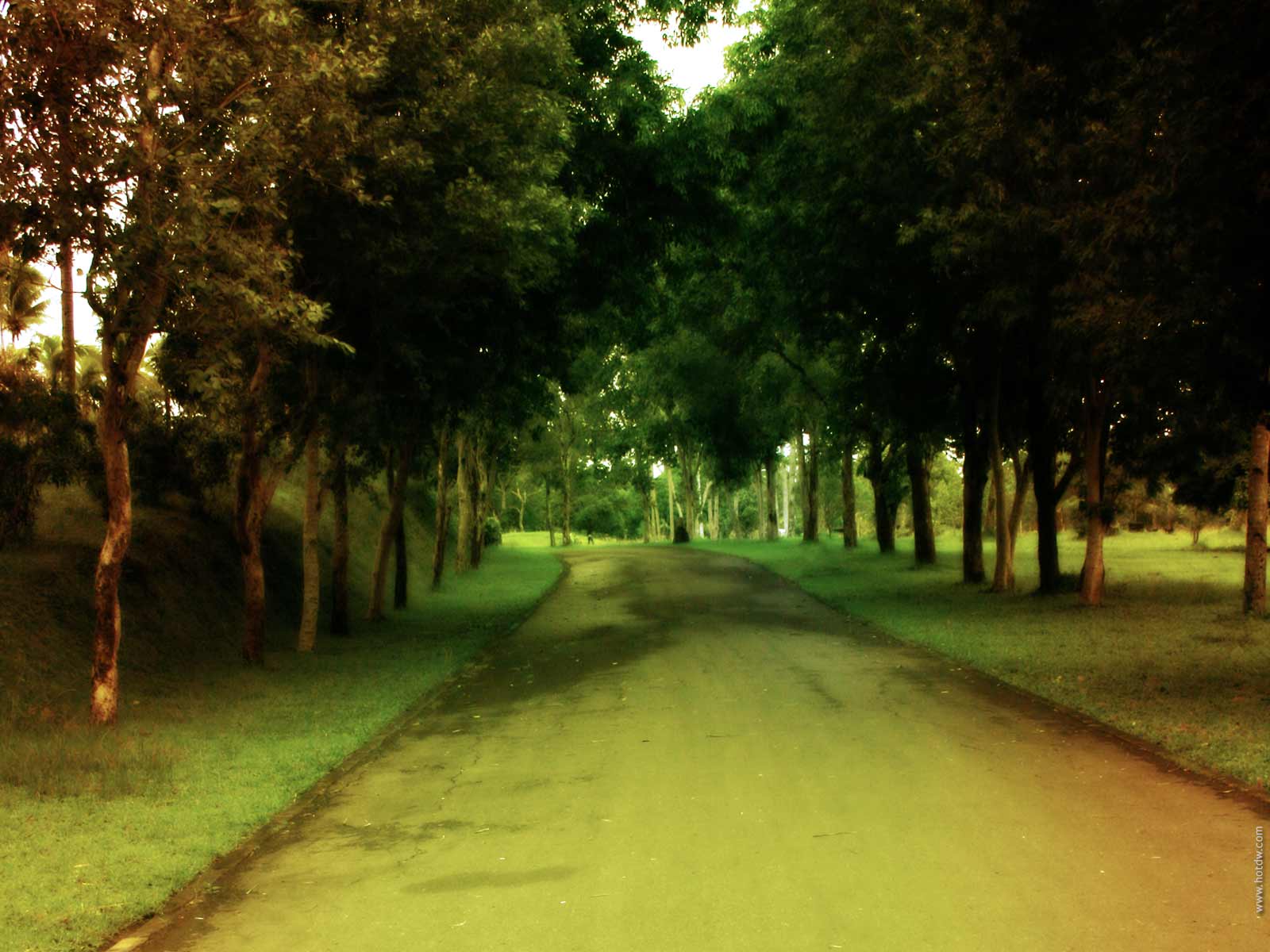 Green Road Wallpapers Top Free Green Road Backgrounds WallpaperAccess