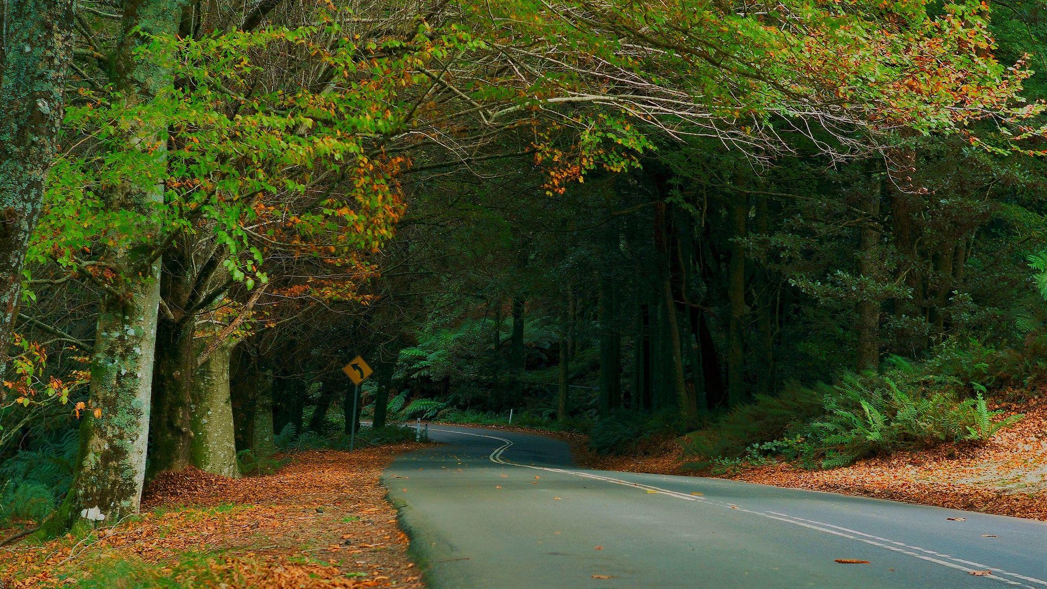 Green Road Wallpapers Top Free Green Road Backgrounds WallpaperAccess
