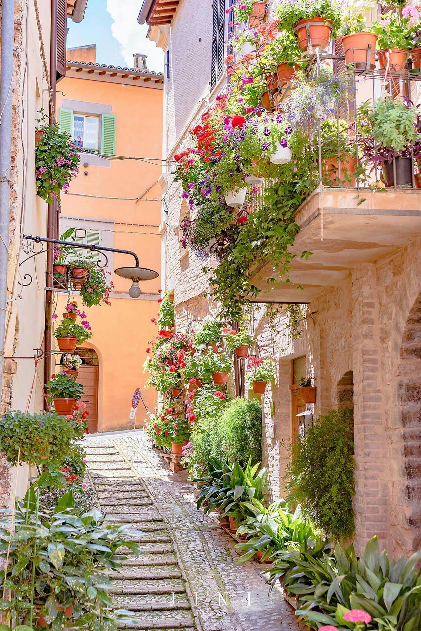 Italy Flowers Wallpapers - Top Free Italy Flowers Backgrounds