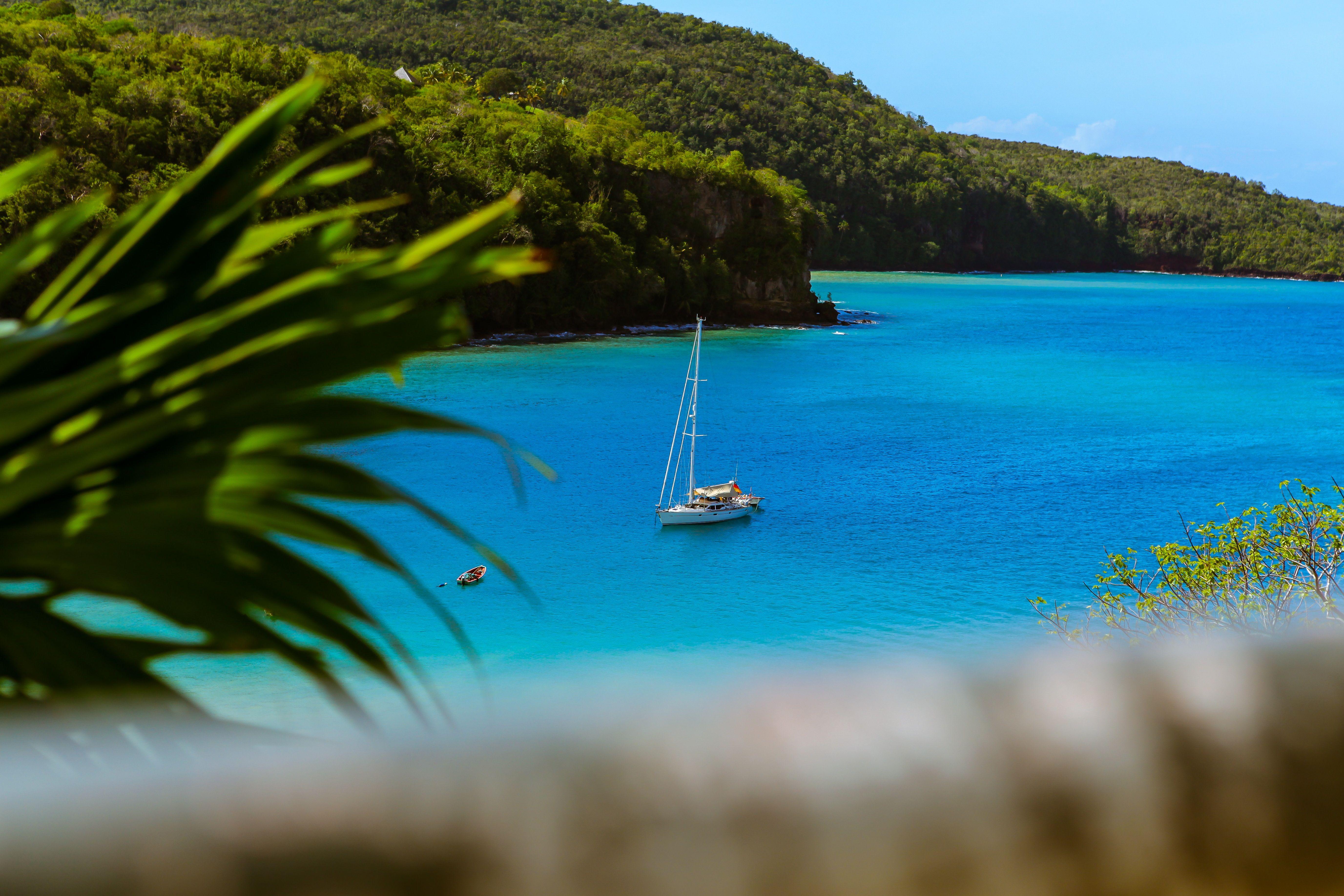 5506x3671 5506x3671 #vacation, #green, #tree, #blue, #shoreline, #shore, #mast, #Free picture, #sailboat, #boat, #ocean, #island, #tropical, #jungle, #forest, #plant, #sea, #paradise, #float, #sunlight, #yacht. Mocah.org HD Wallpaper